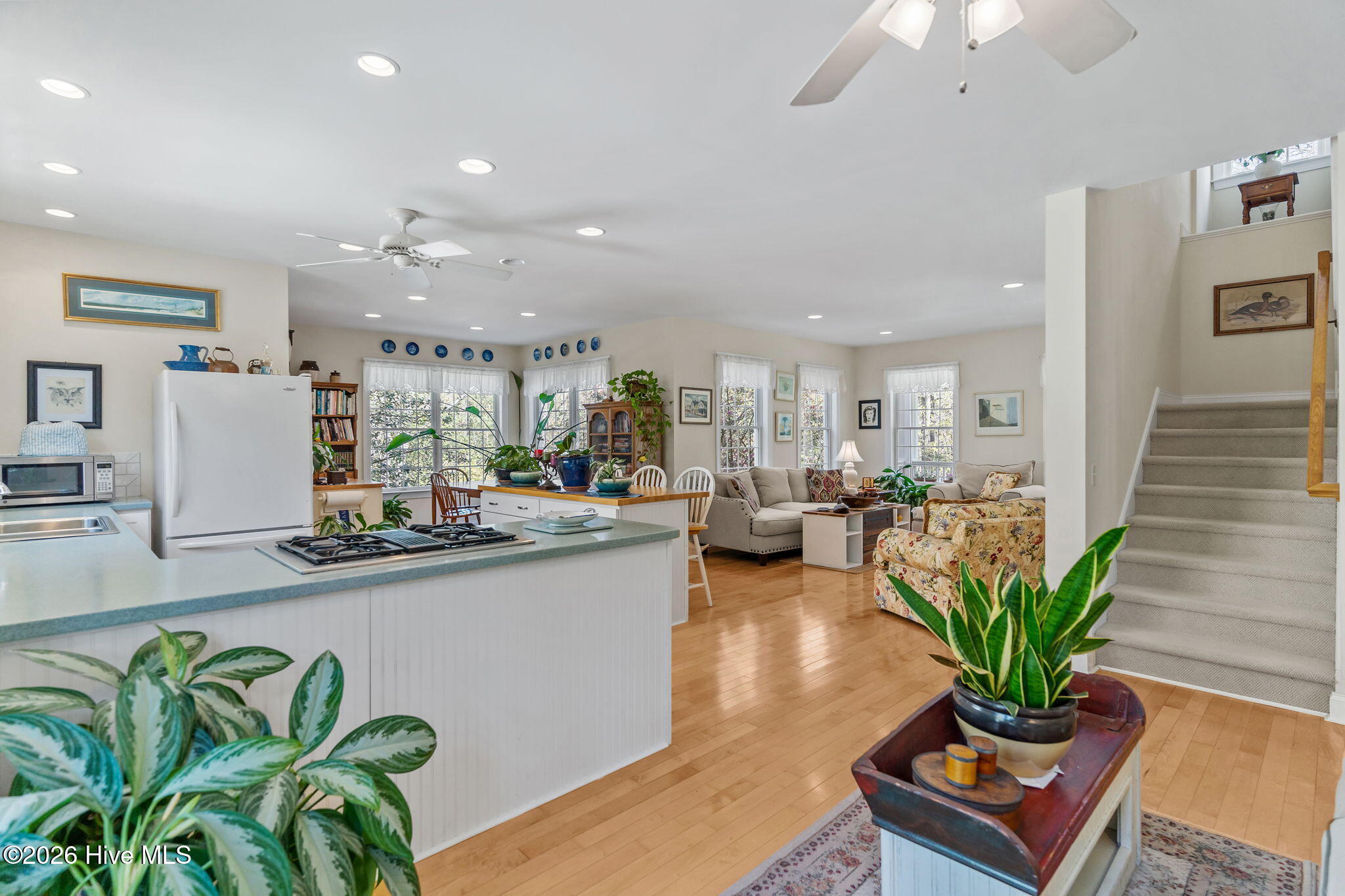 100562124 | Photo 16