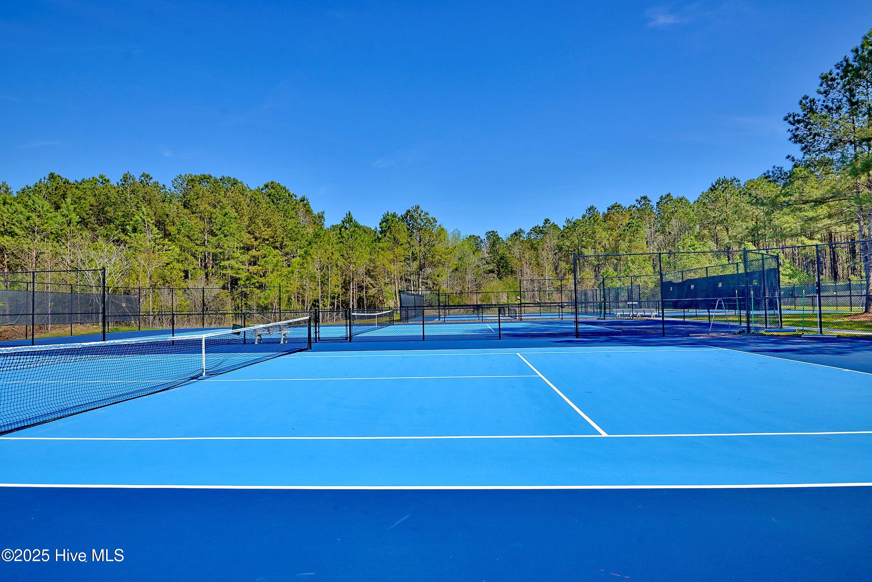 100538778 | Photo 62