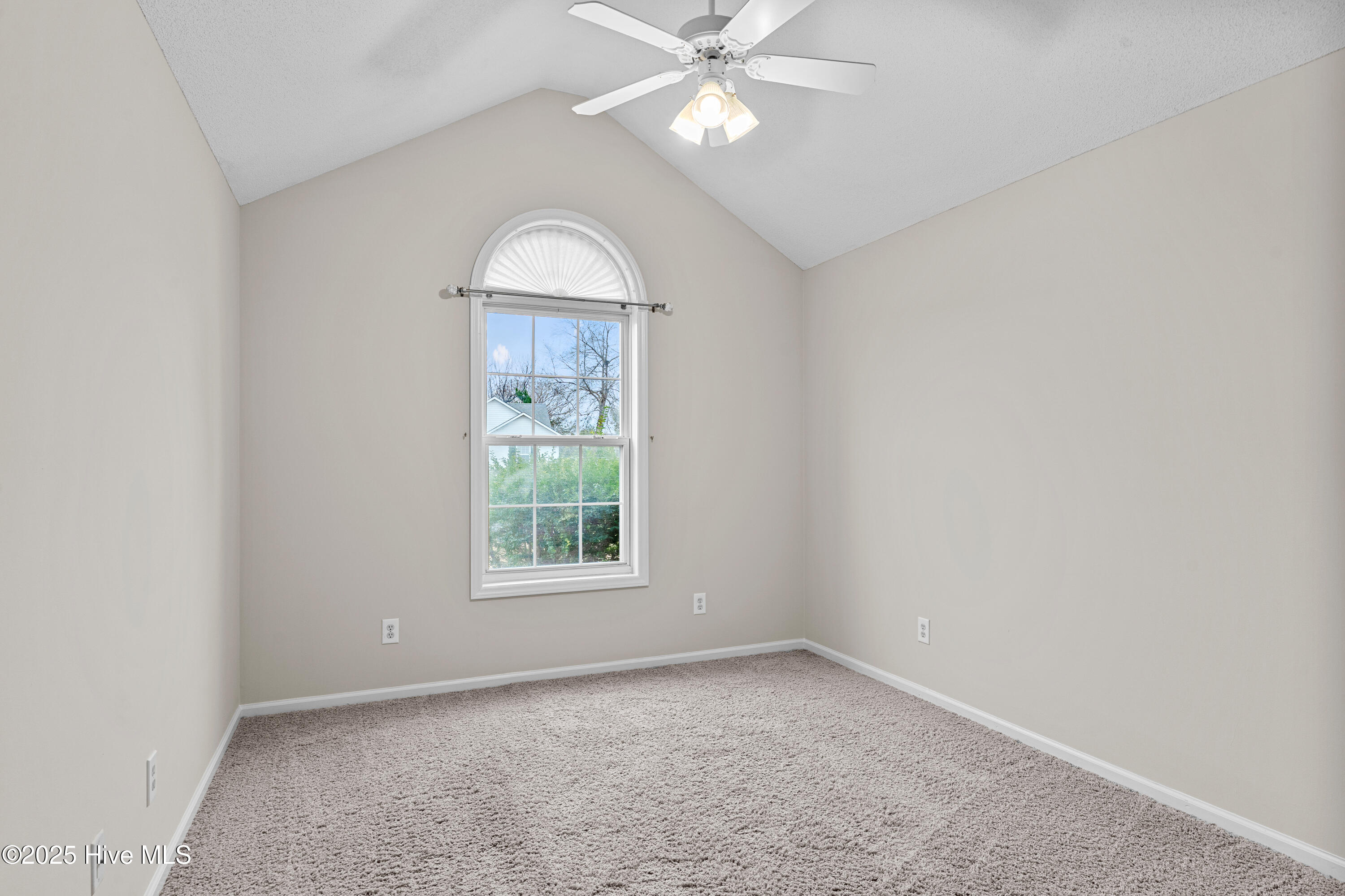 100545454 | Photo 20