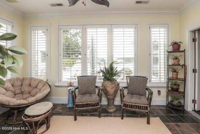 100515842 | Photo 103