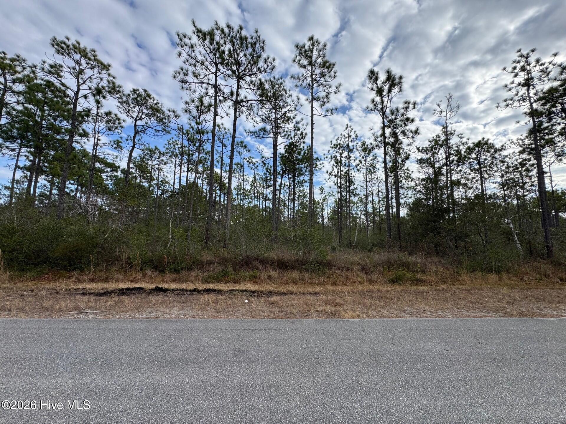 Carolina Barrier Islands