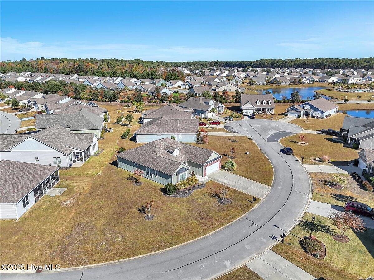 100541997 | Photo 46