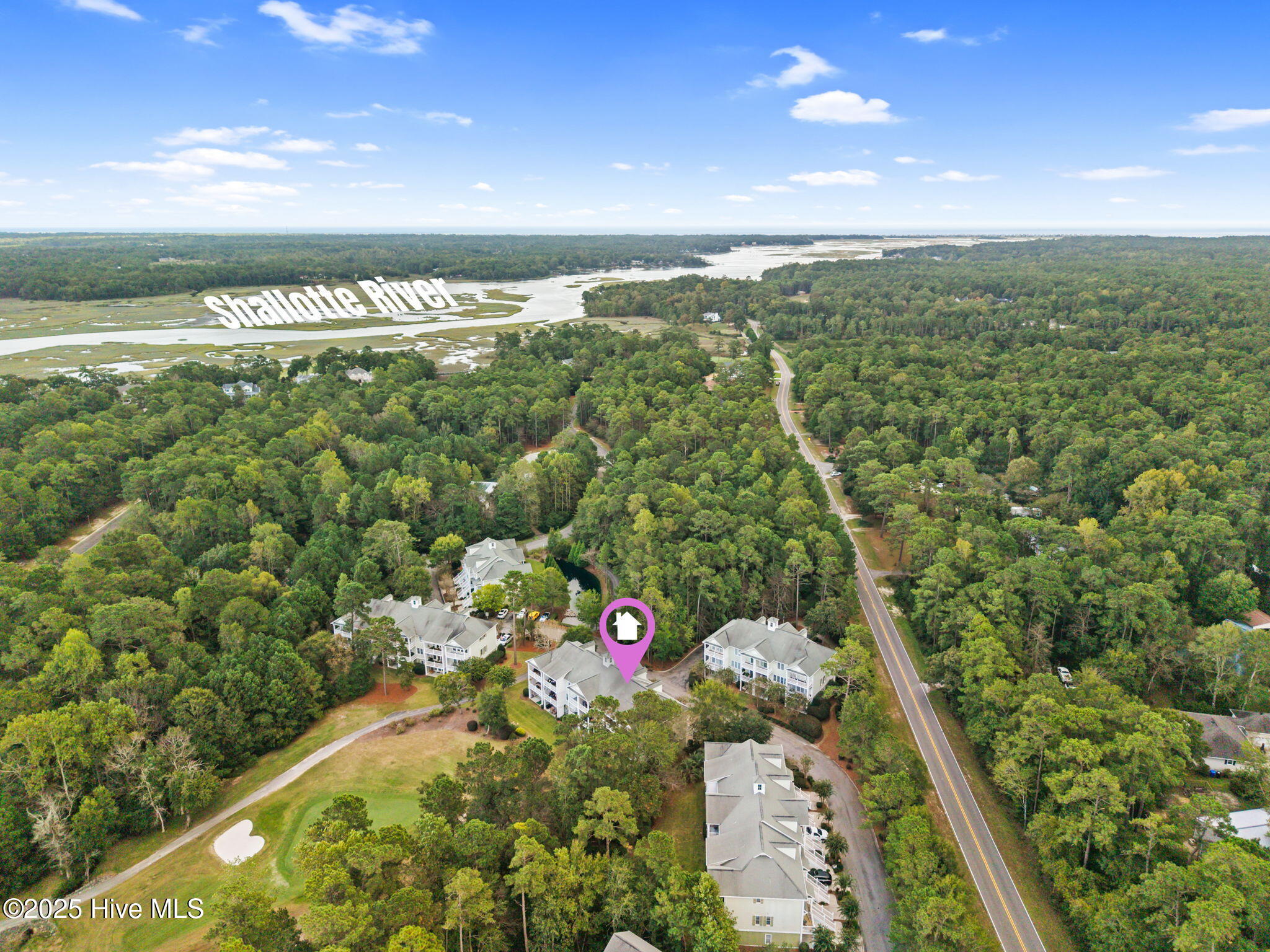 100534473 | Photo 43