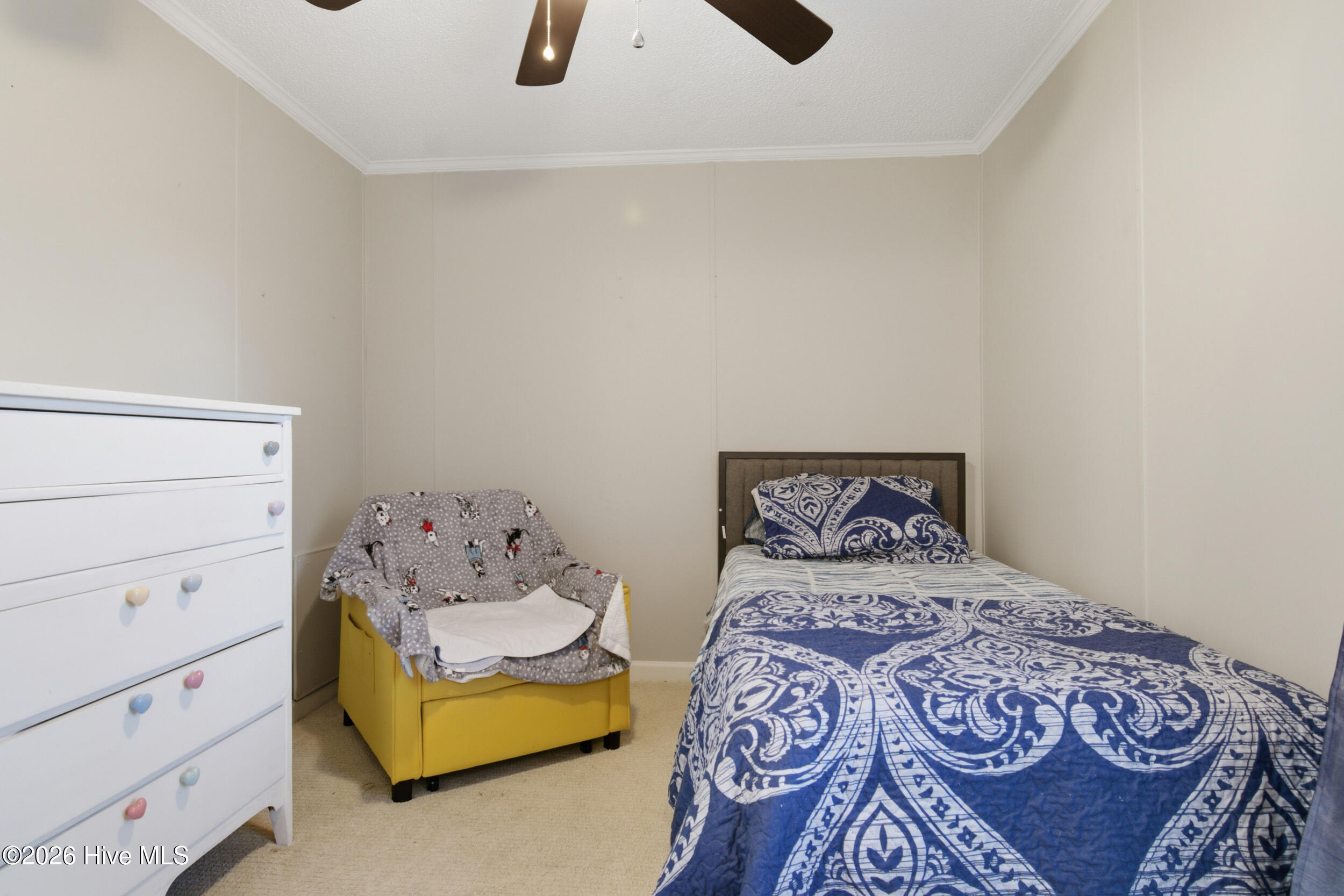 100547212 | Photo 25