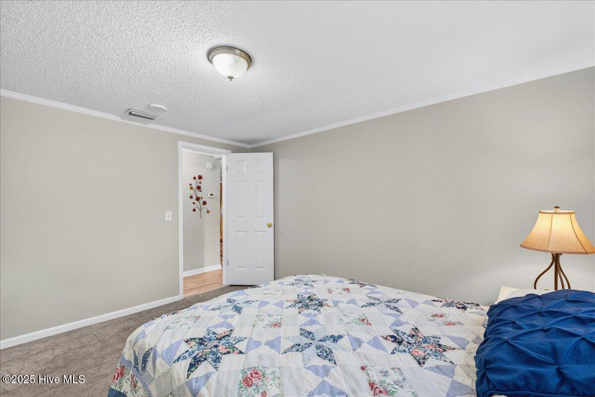 100535729 | Photo 22