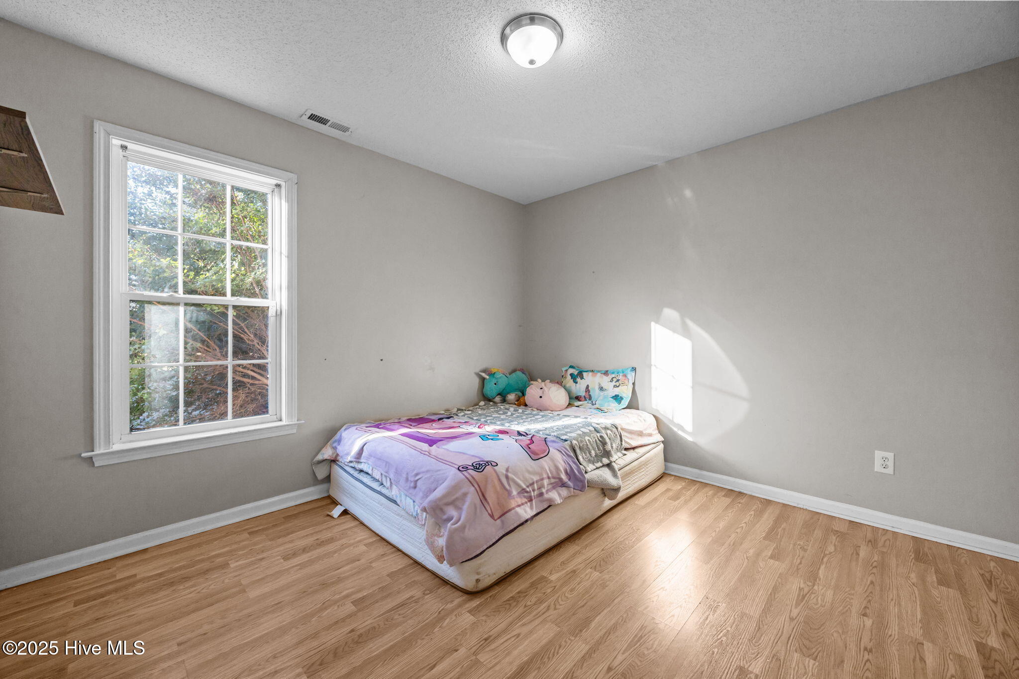 100544873 | Photo 22