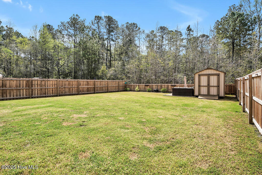 100563721 | Photo 25