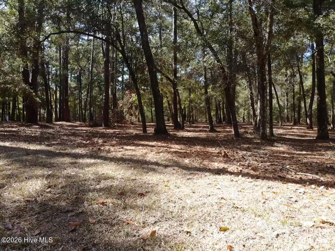 100559095 | Photo 13