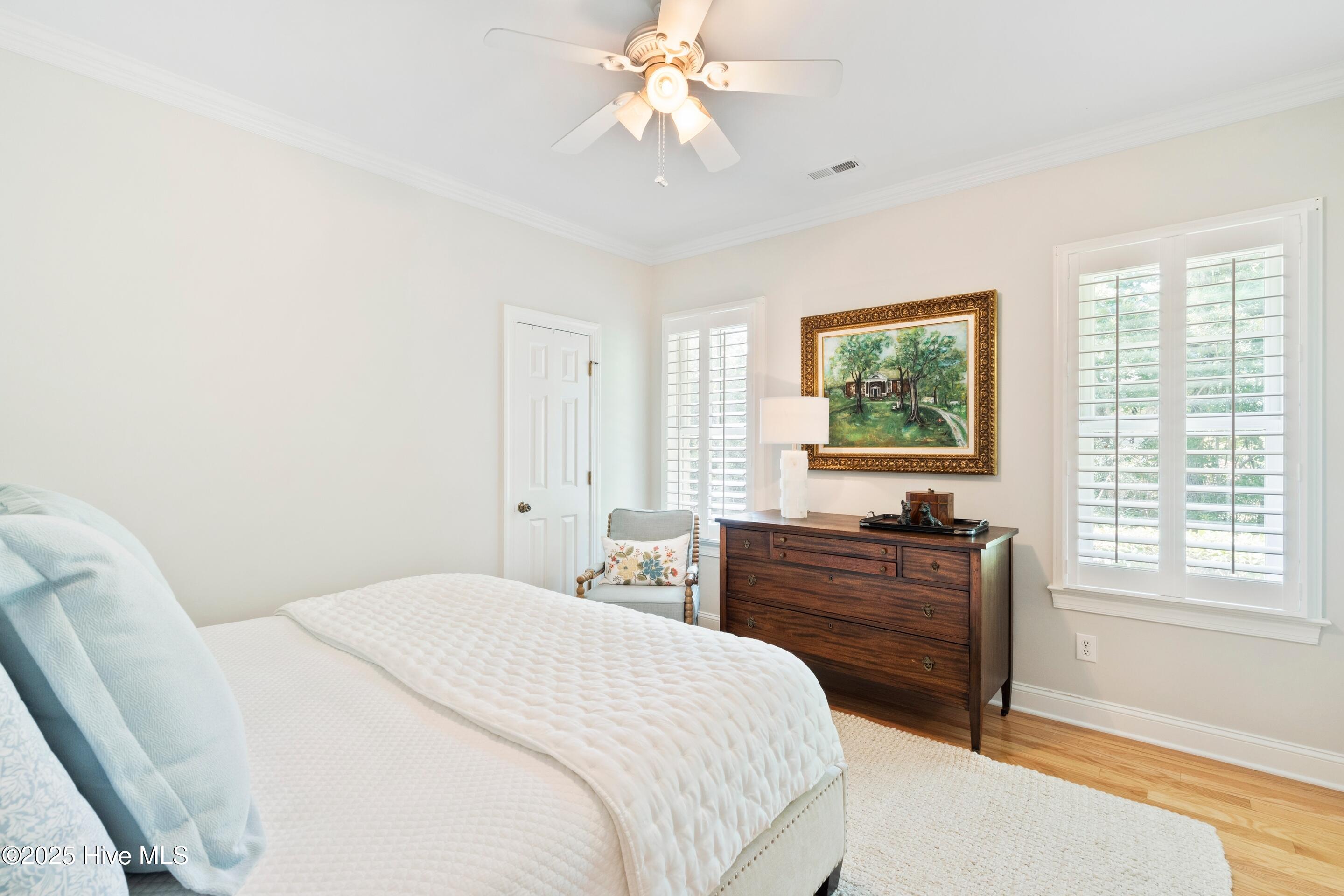 100520389 | Photo 55