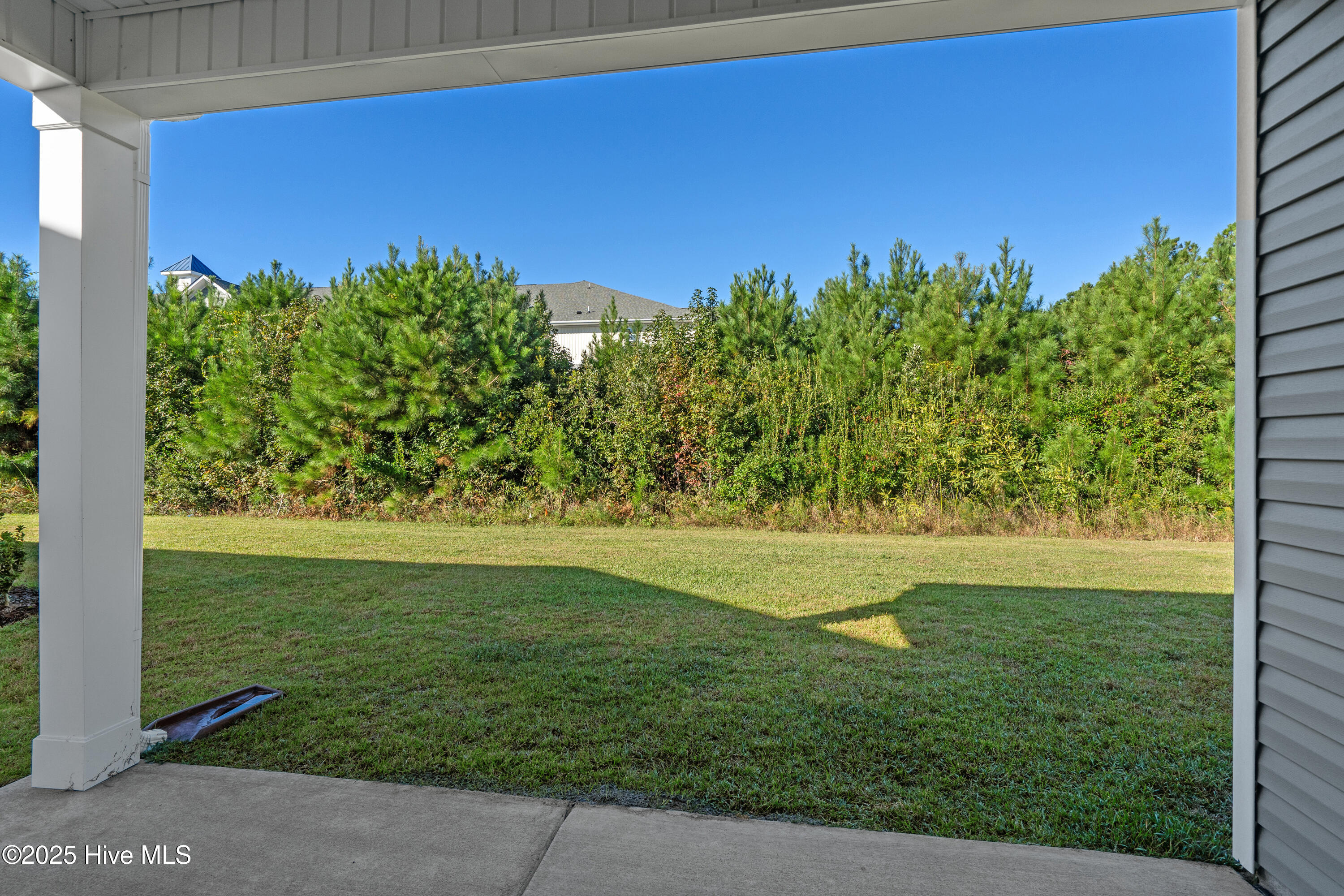 100536973 | Photo 31