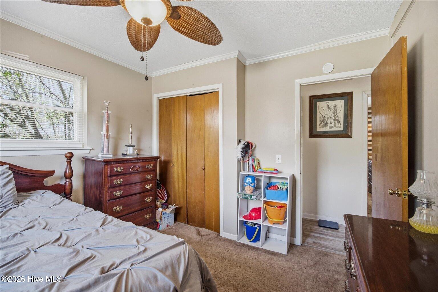 100562707 | Photo 22