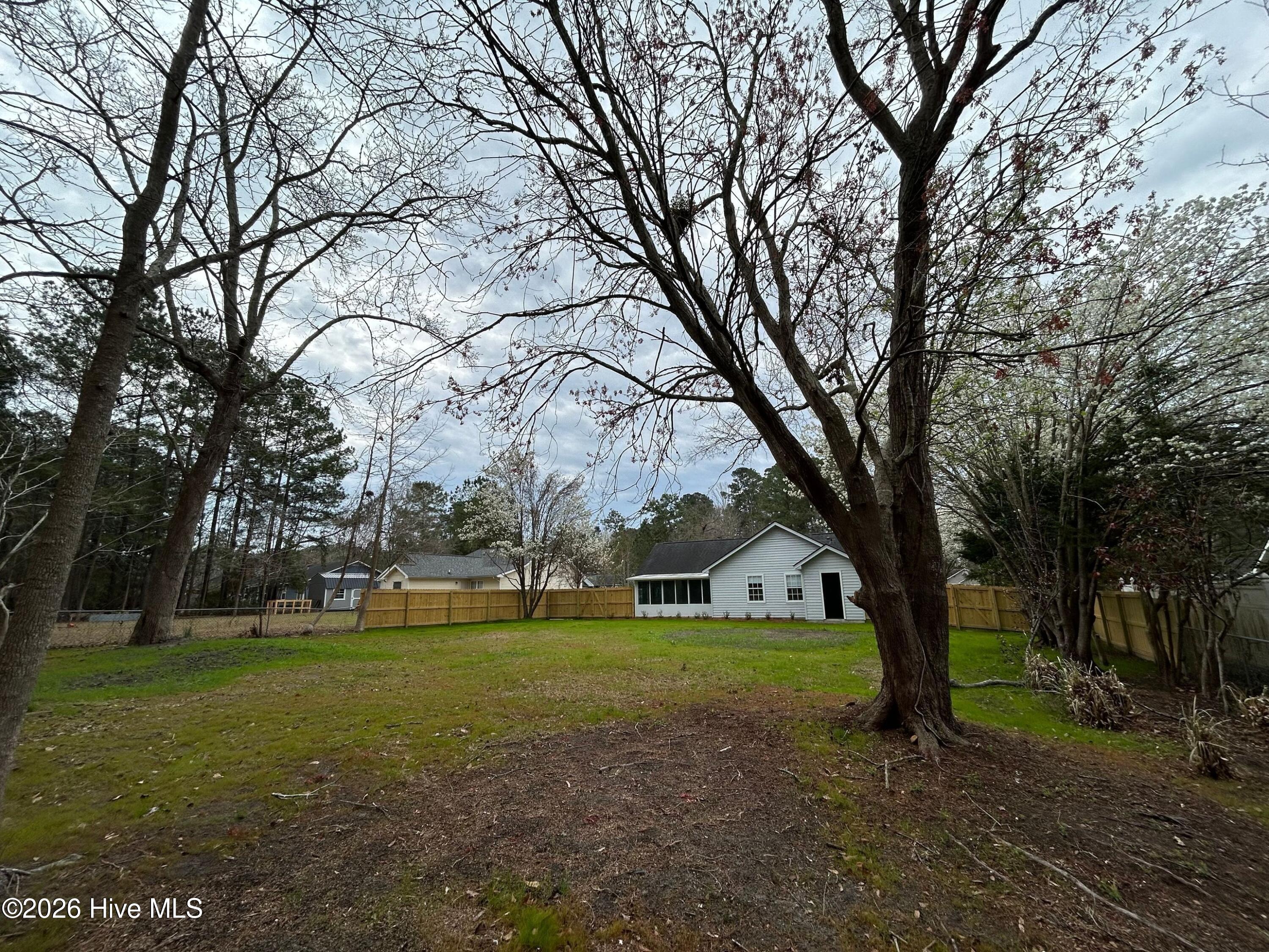 100559934 | Photo 27