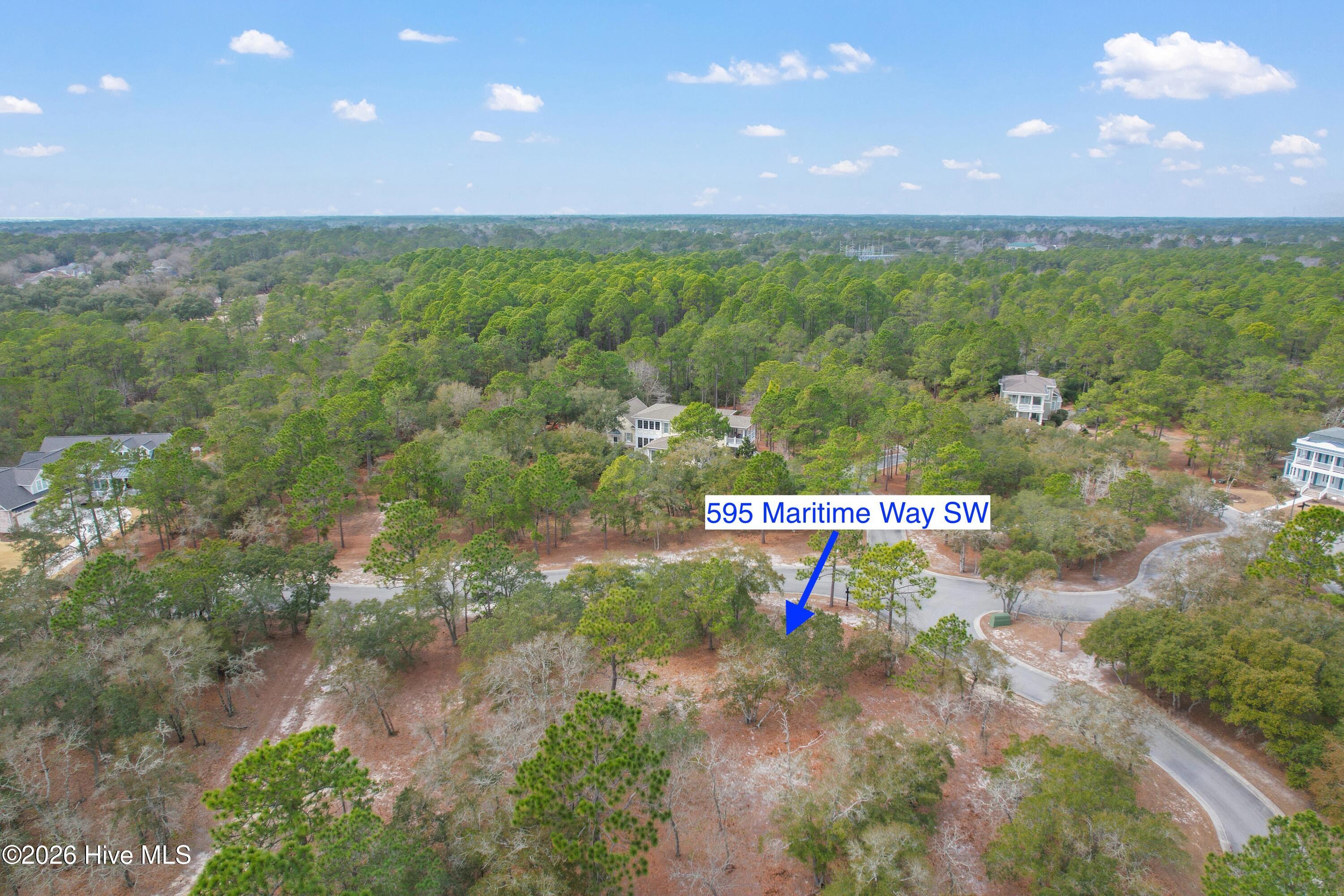 100548259 | Photo 13