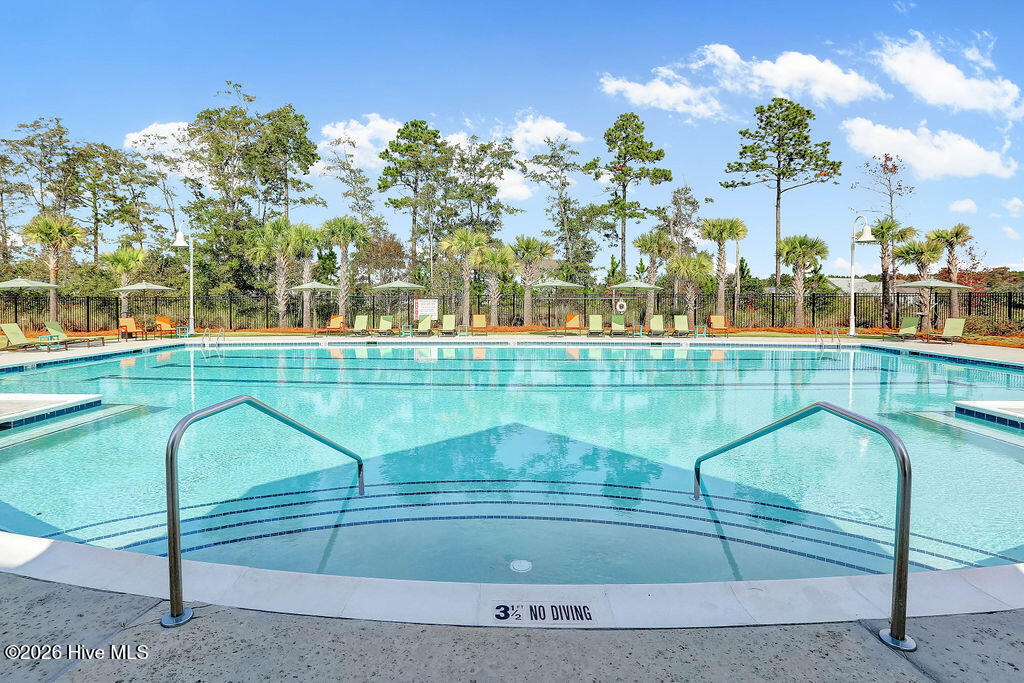 100565235 | Photo 96