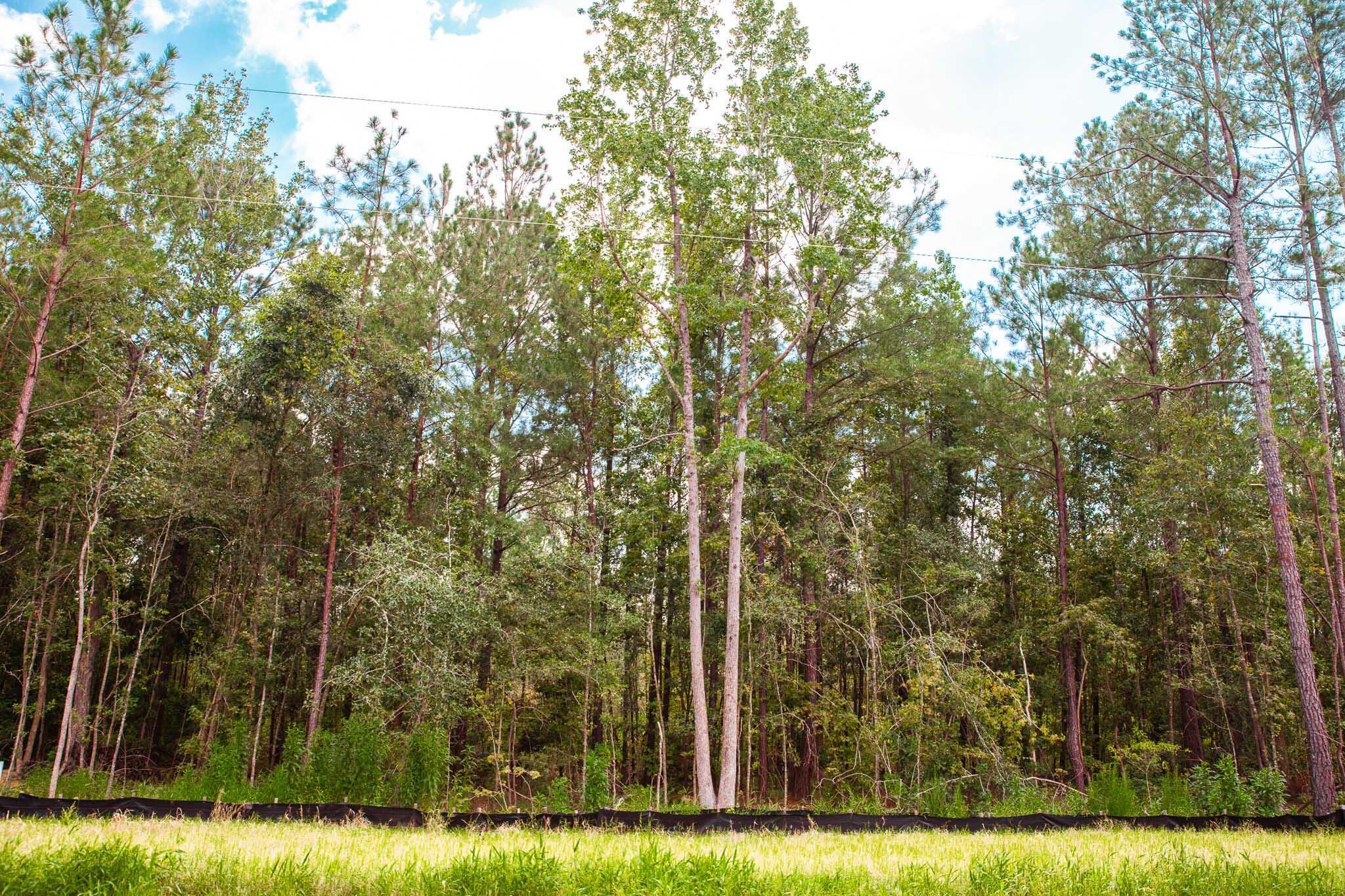 Property at Lot 19 Leyland Court