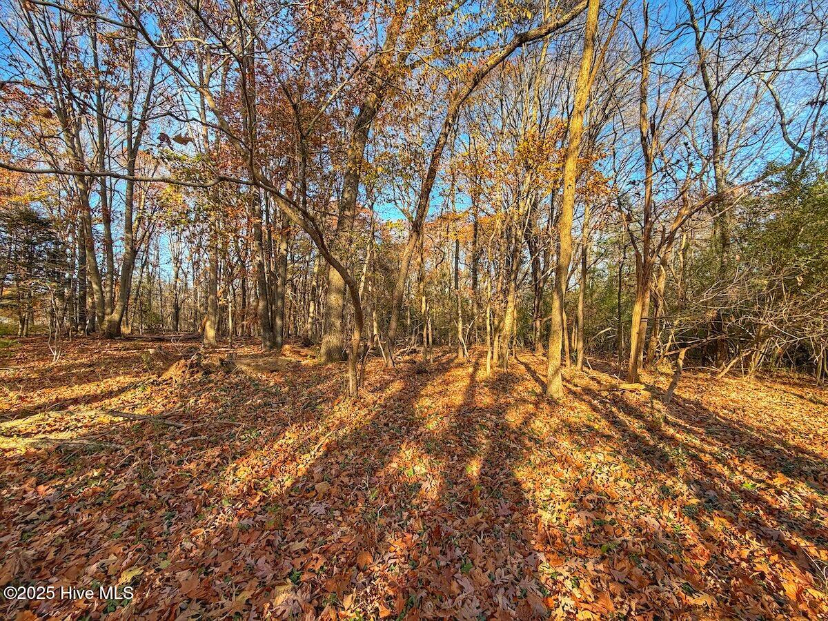 0 Mabry Mill Road, Henderson, NC, 27537