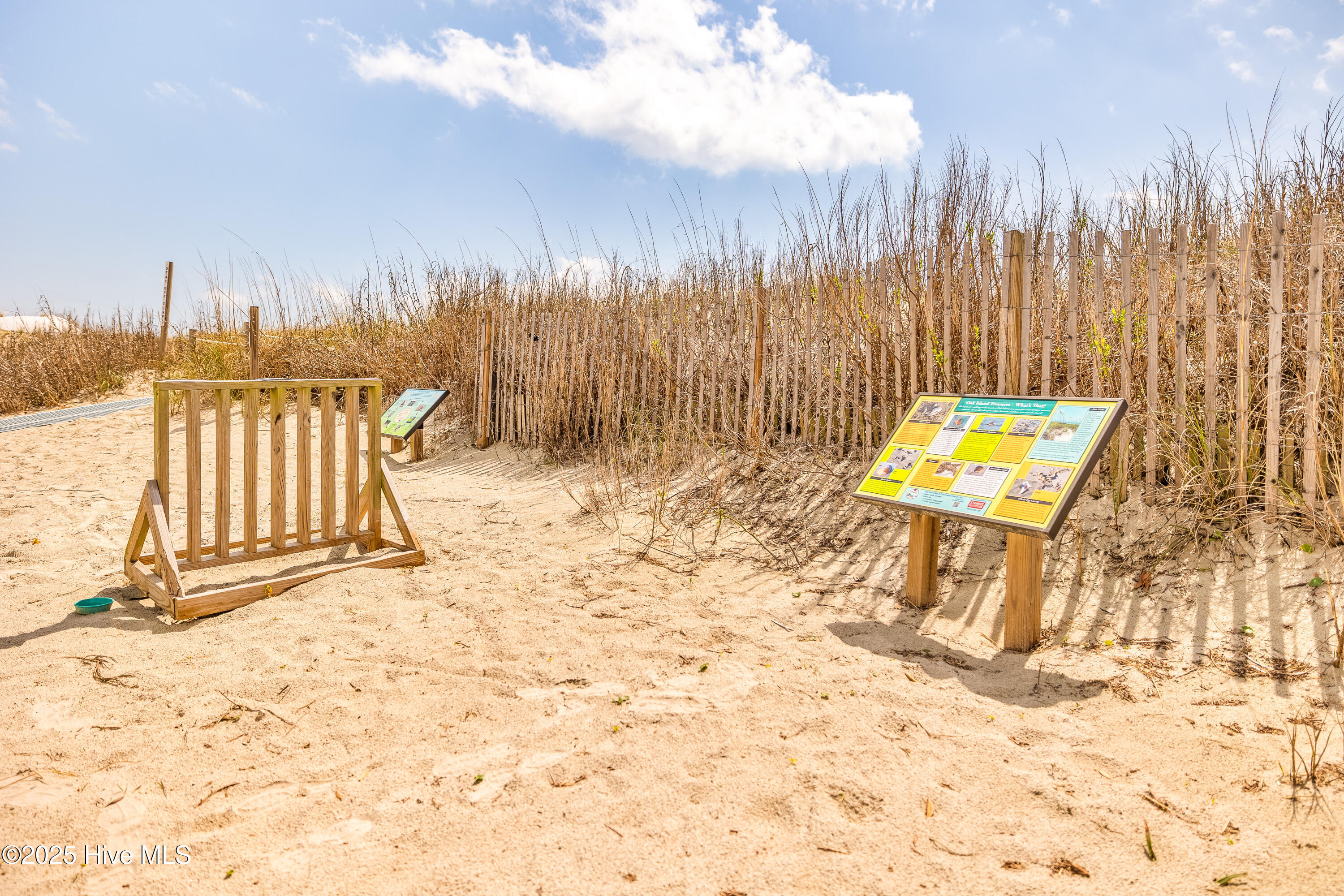 100500565 | Photo 74