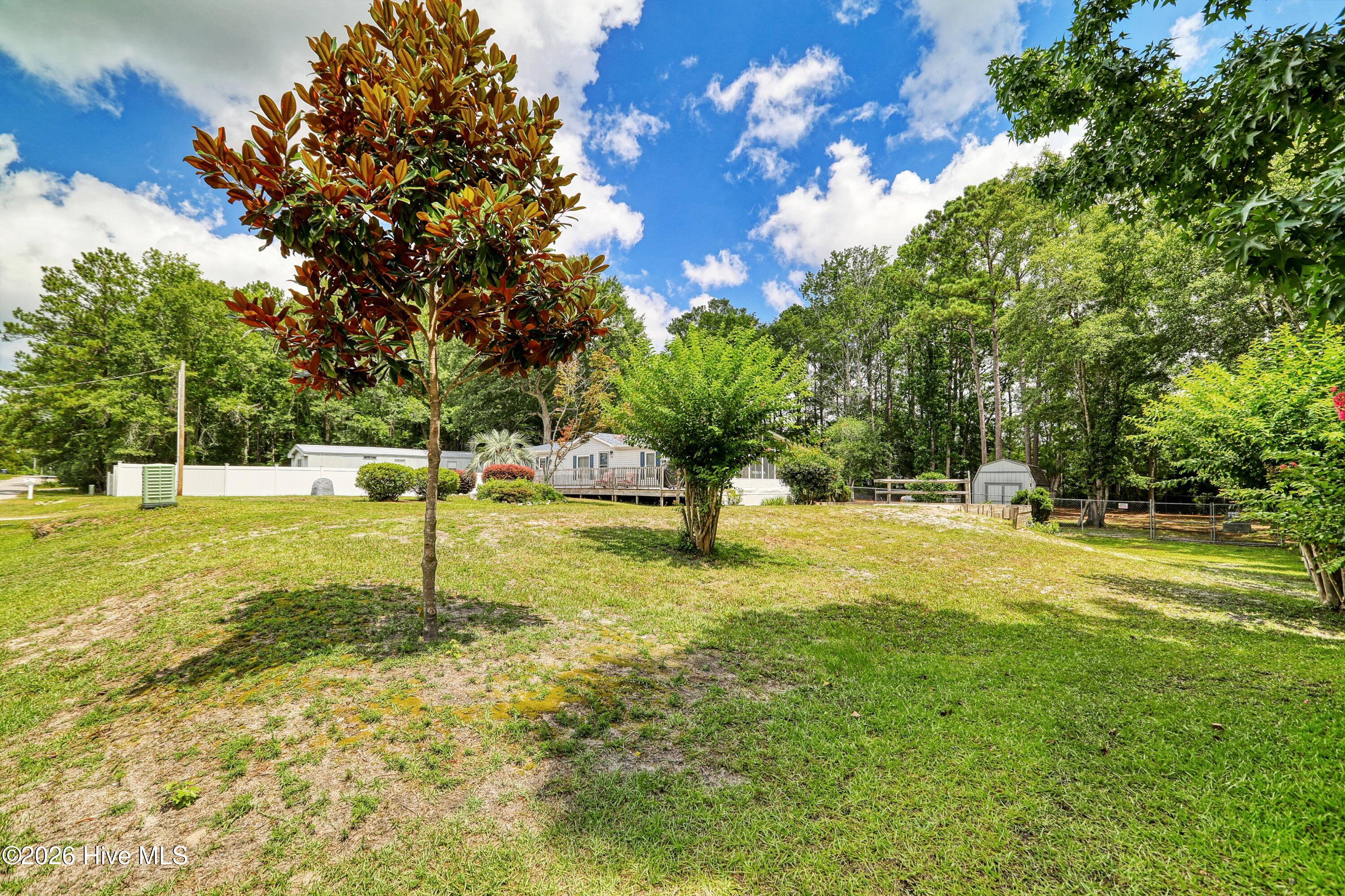 100568147 | Photo 49