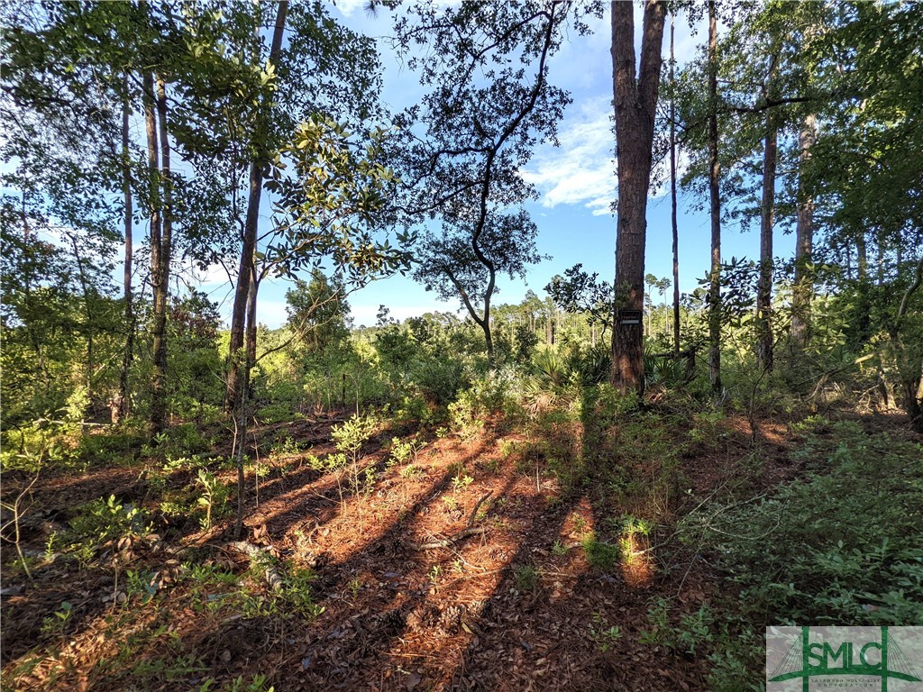 0 Fort Argyle Road, Savannah, GA, 31419