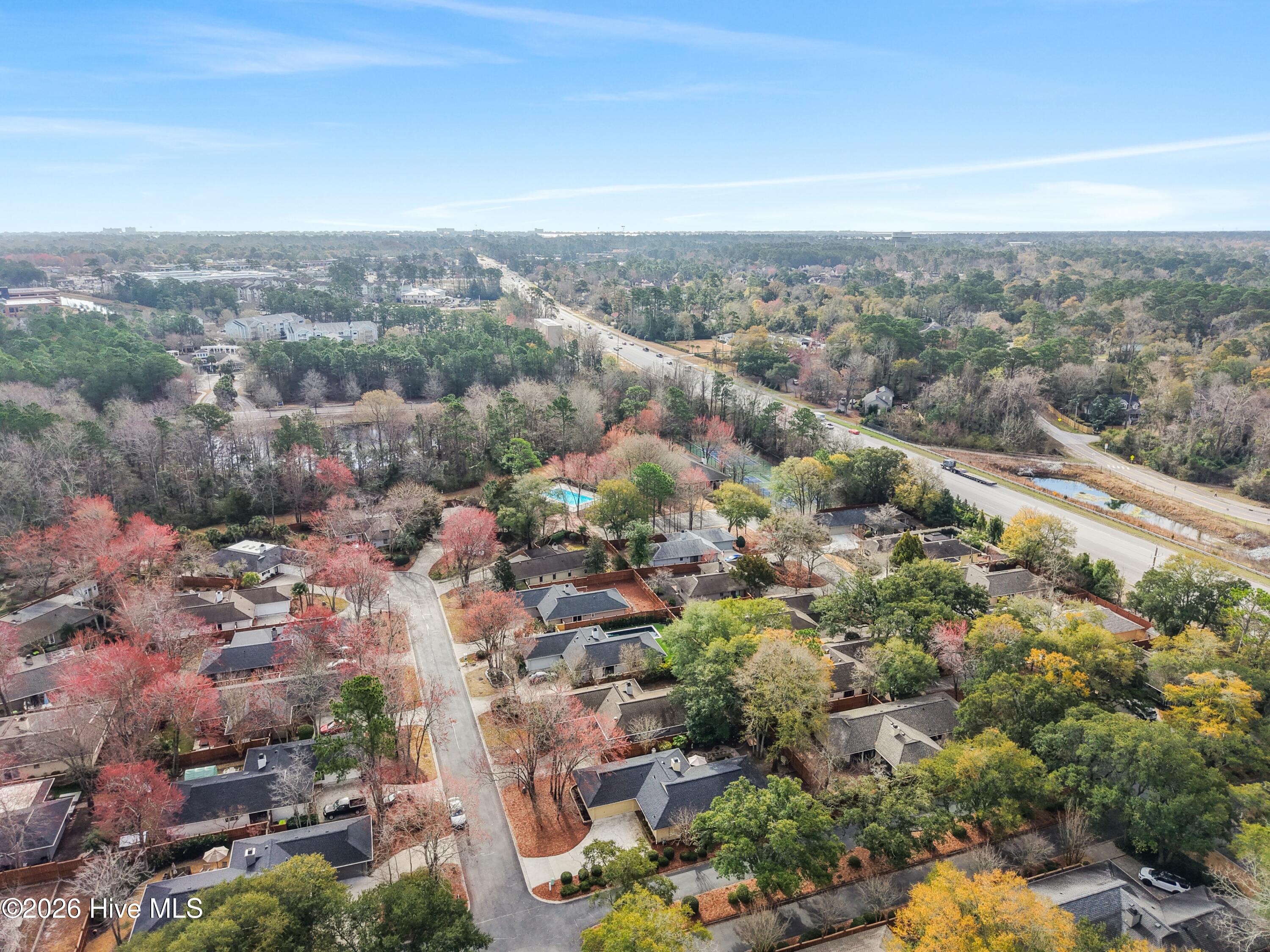 100558002 | Photo 40