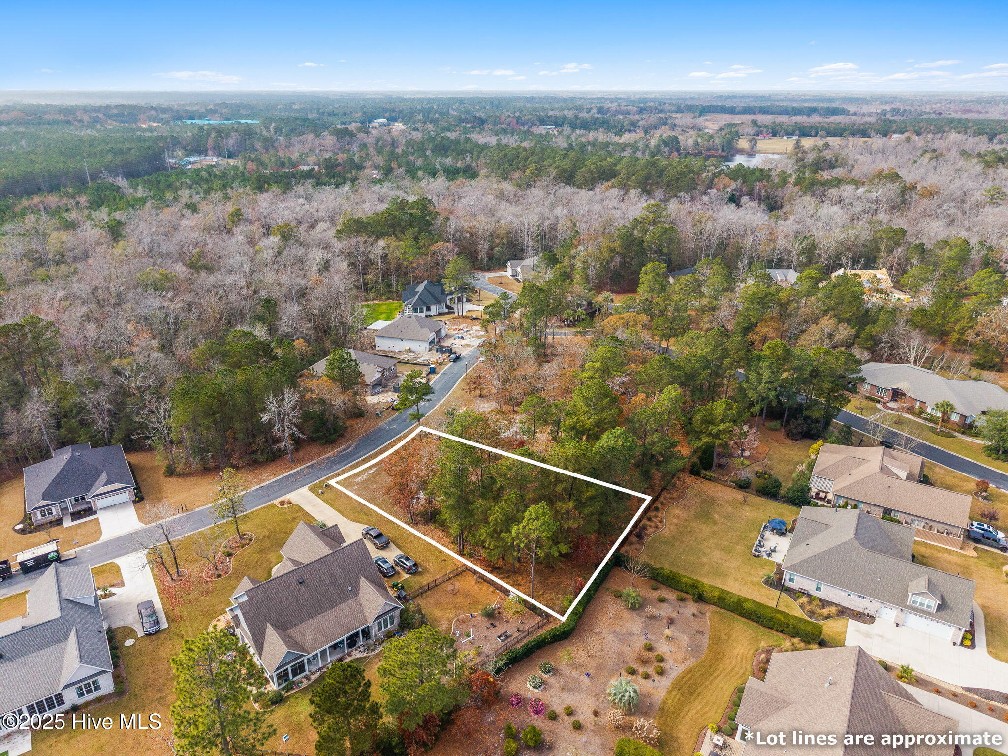 100543252 | Photo 12