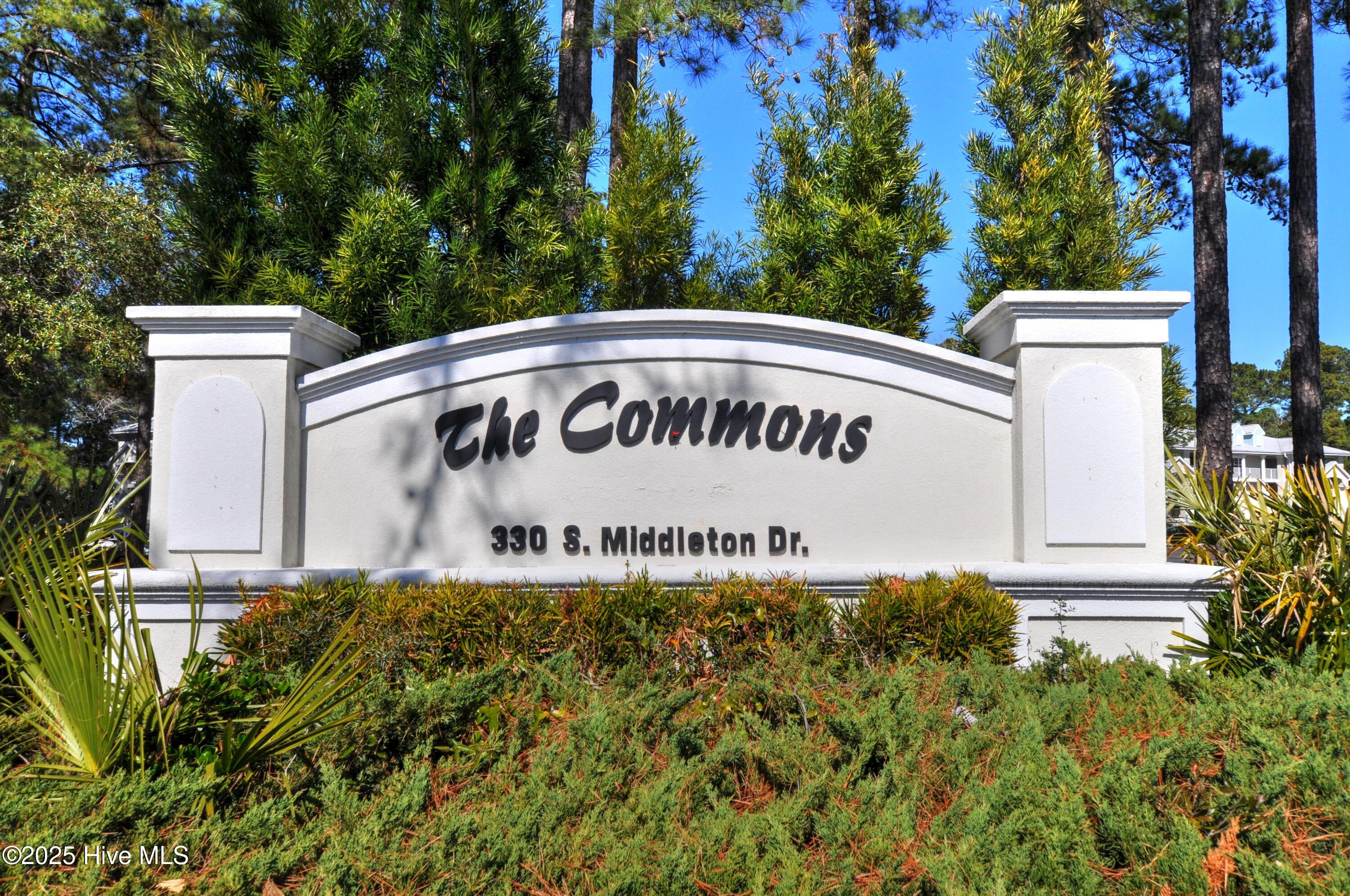 100489342 | Photo 30