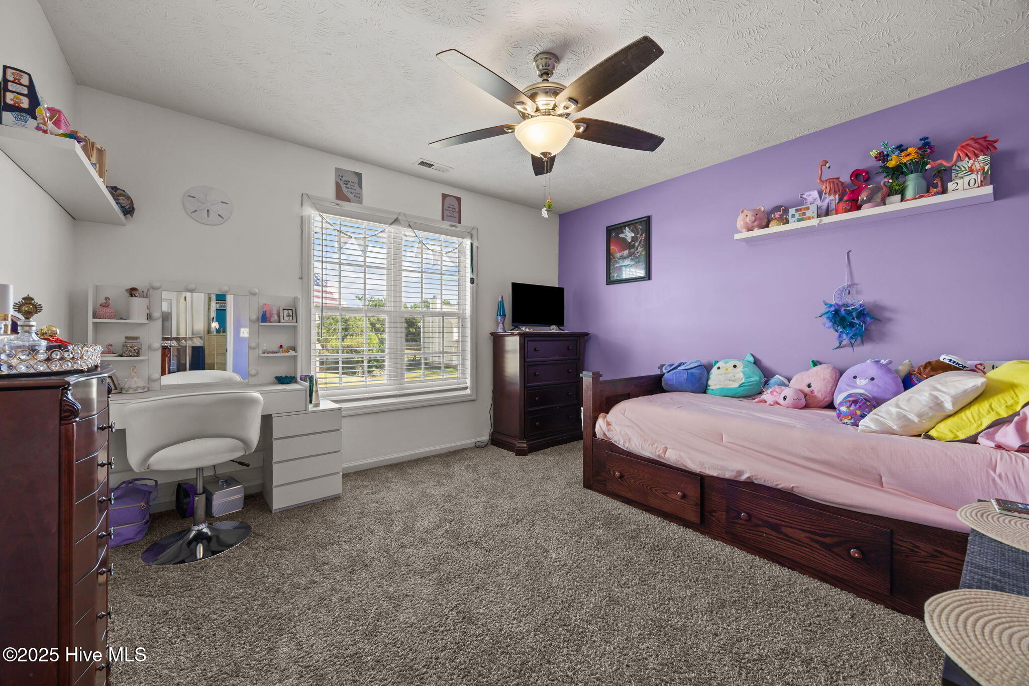 100538384 | Photo 23