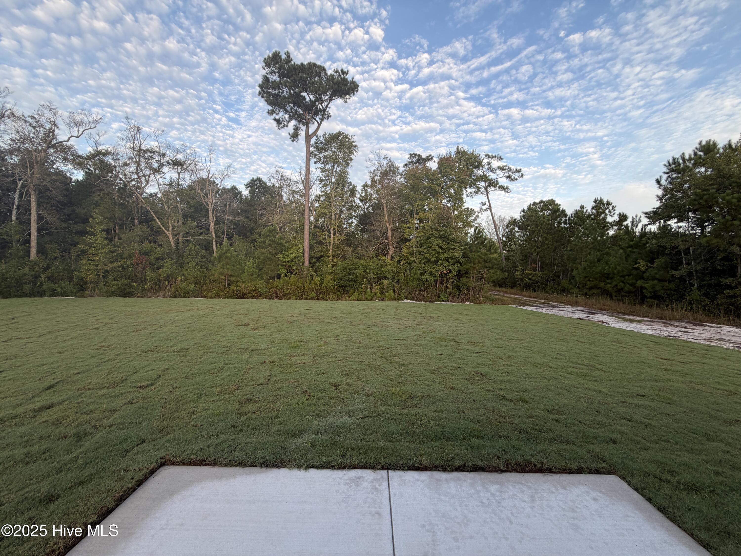 100521695 | Photo 35