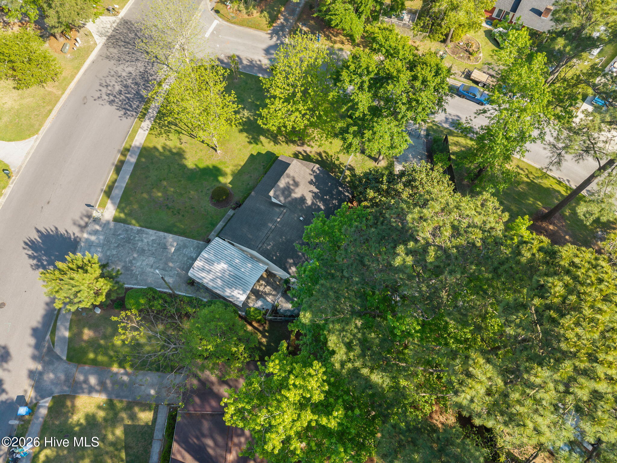 100567245 | Photo 35