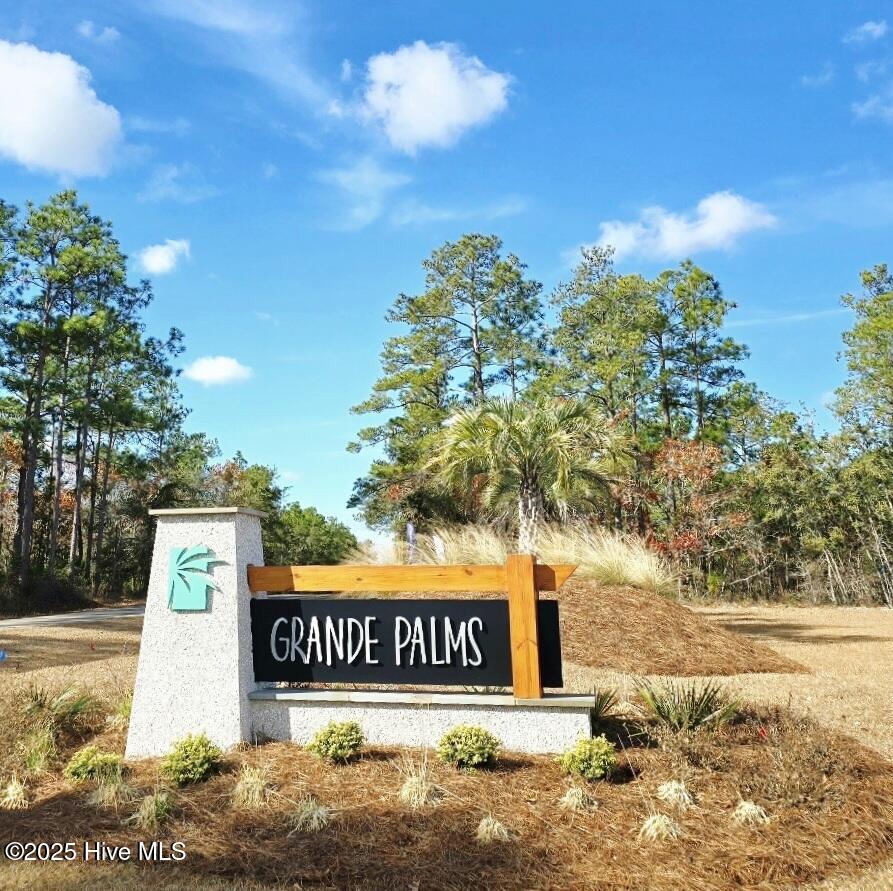 100541996 | Photo 15