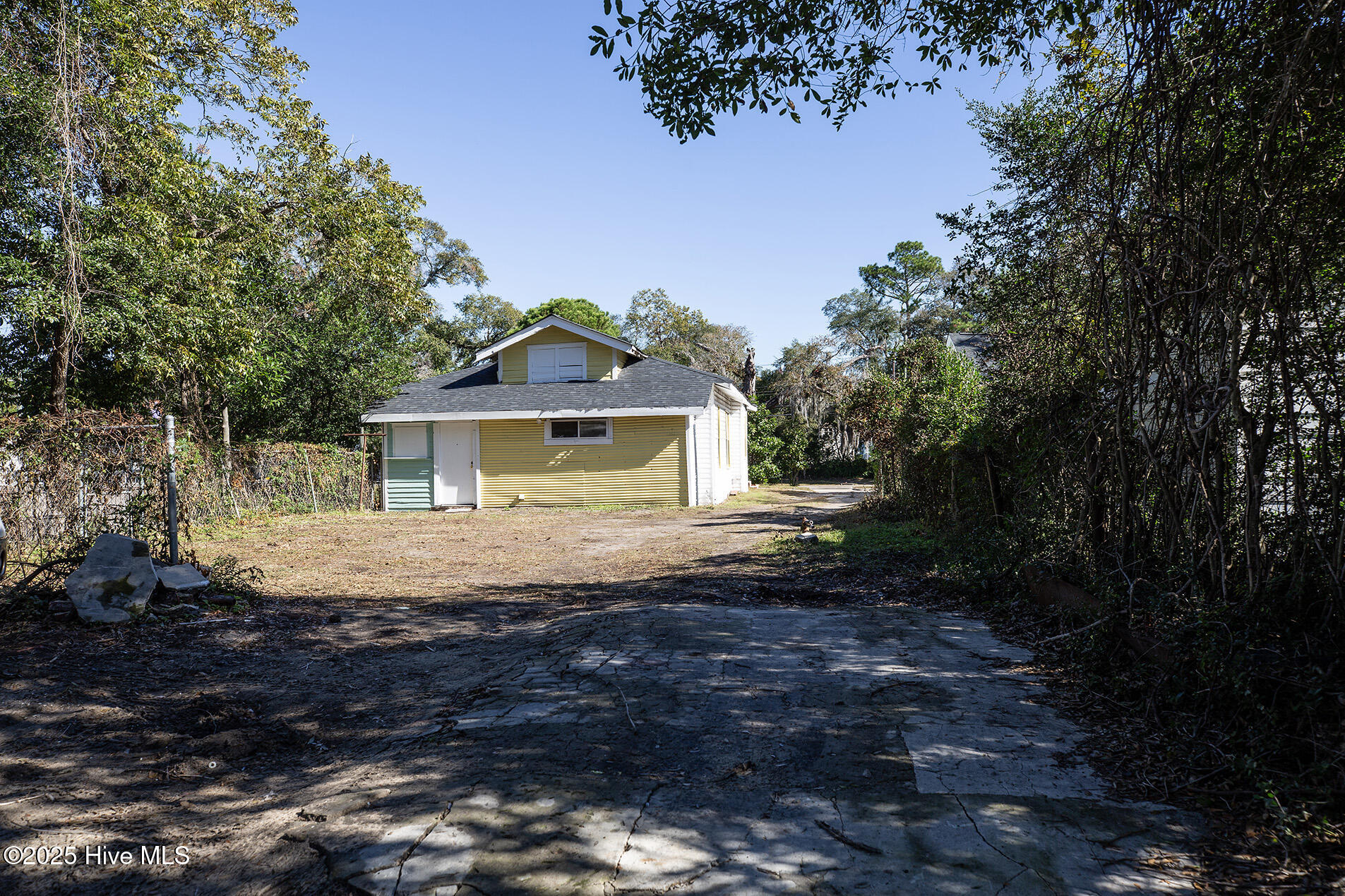 100540157 | Photo 32