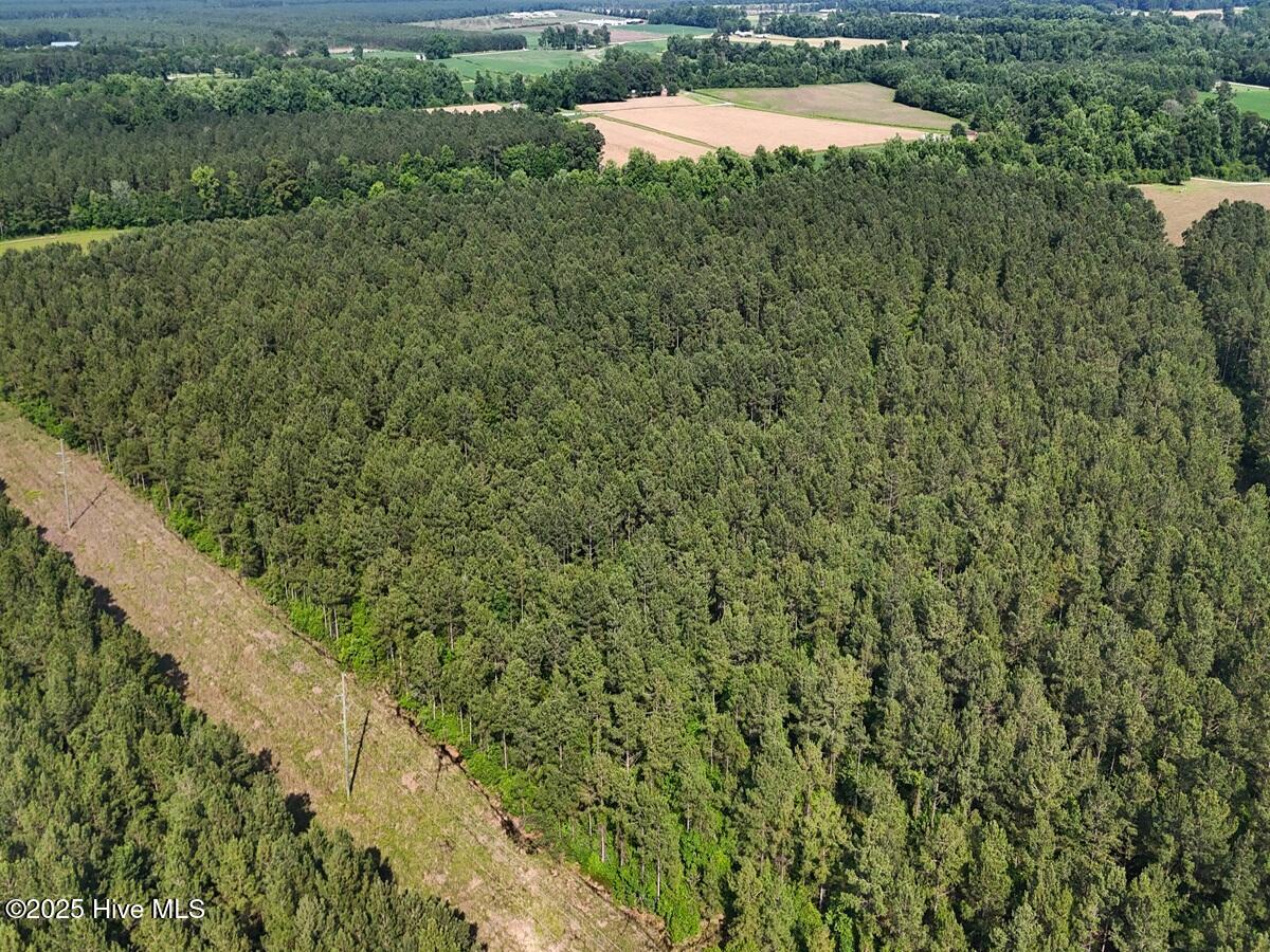 100513588 | Photo 38