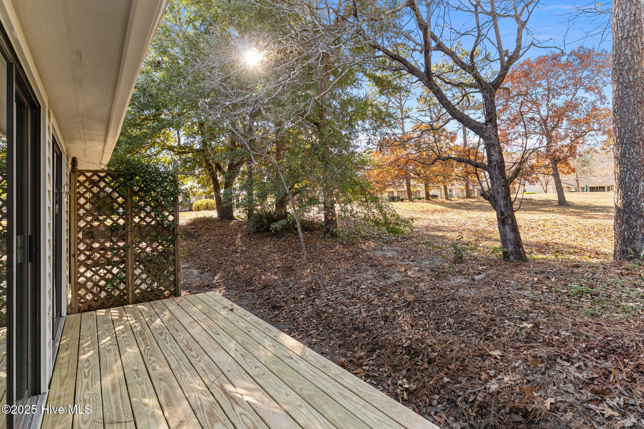 100537867 | Photo 31