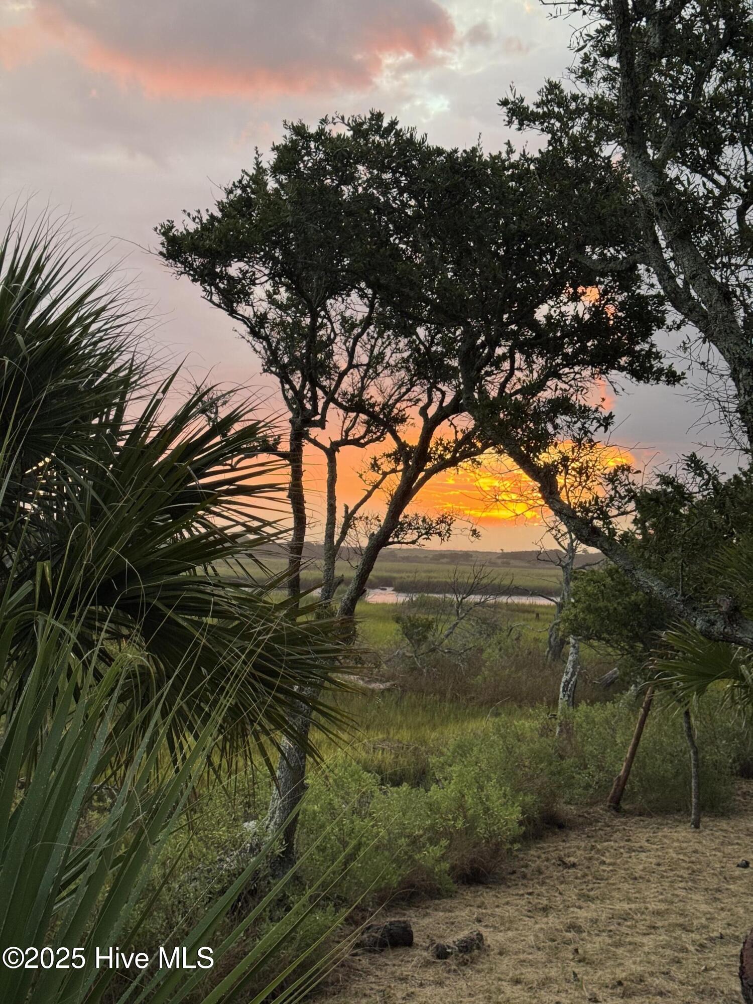 100531454 | Photo 97