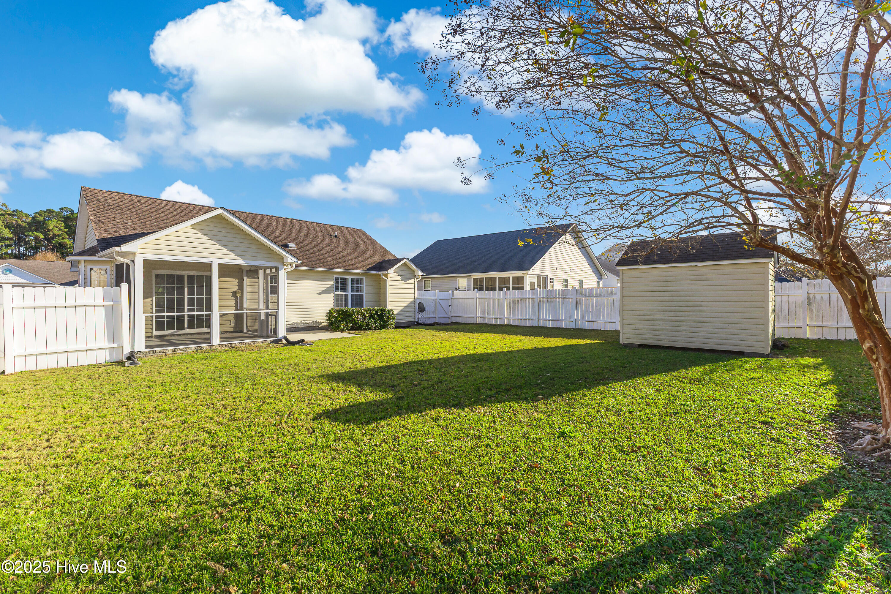 100541535 | Photo 31