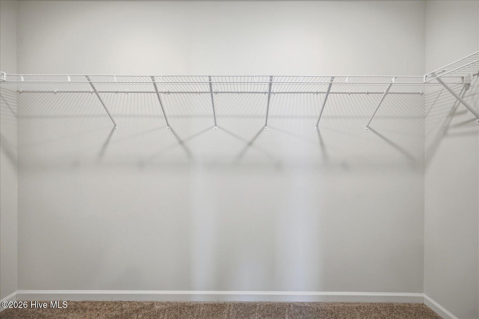 100548049 | Photo 54