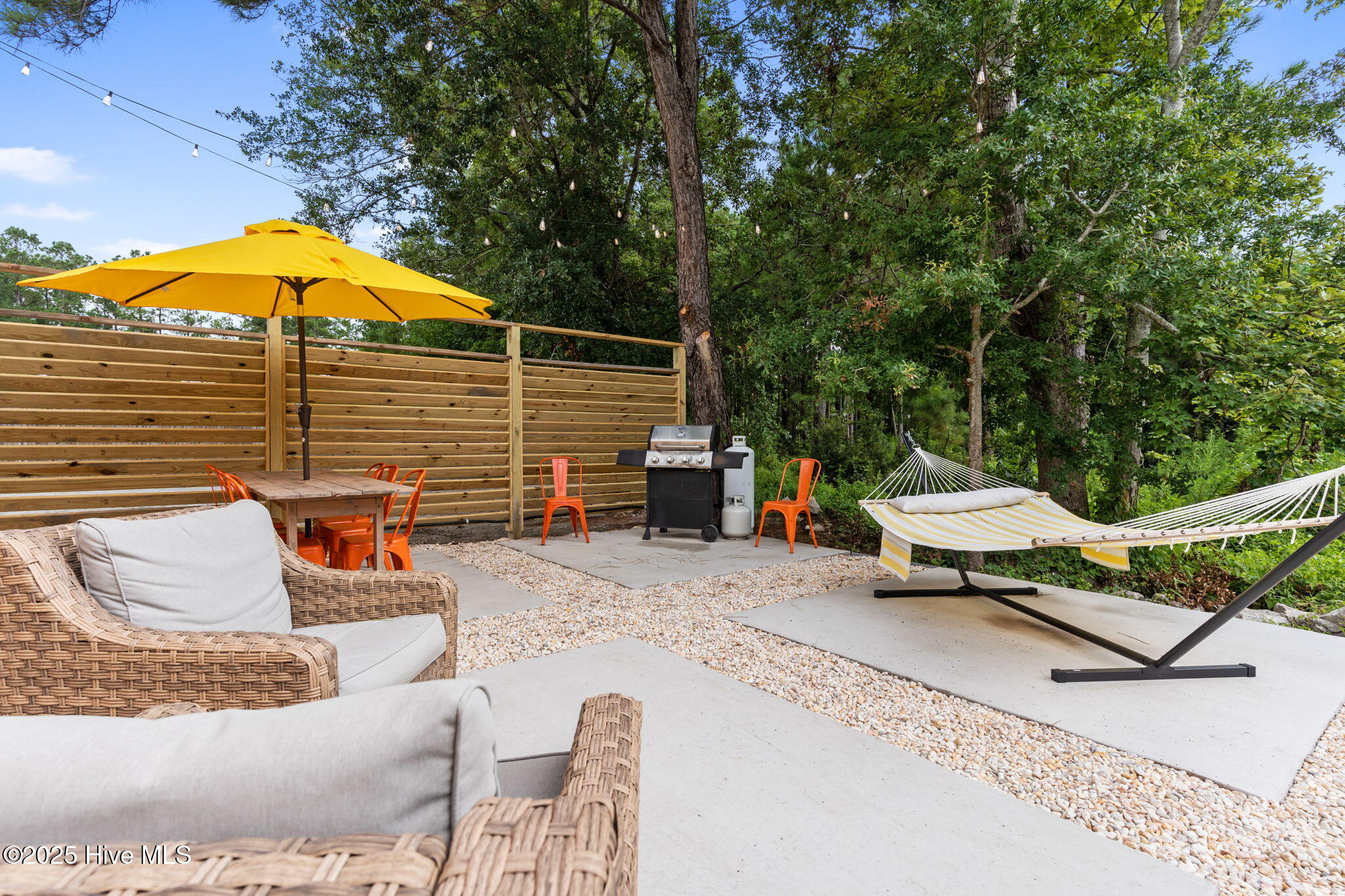 100537290 | Photo 33