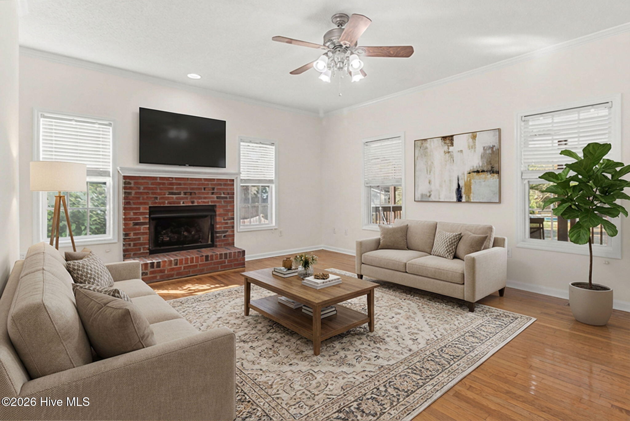 100547779 | Photo 14