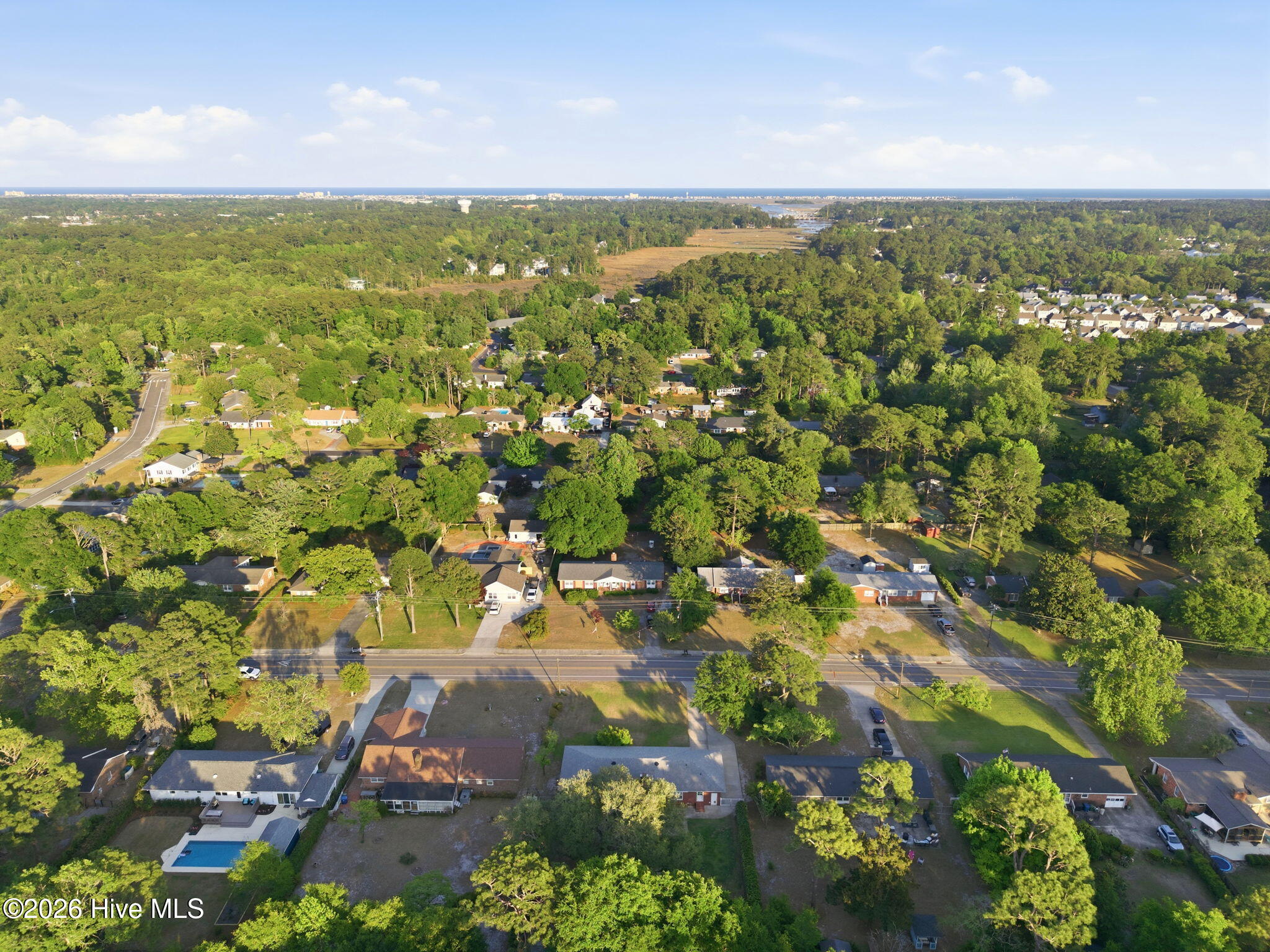 100569519 | Photo 56