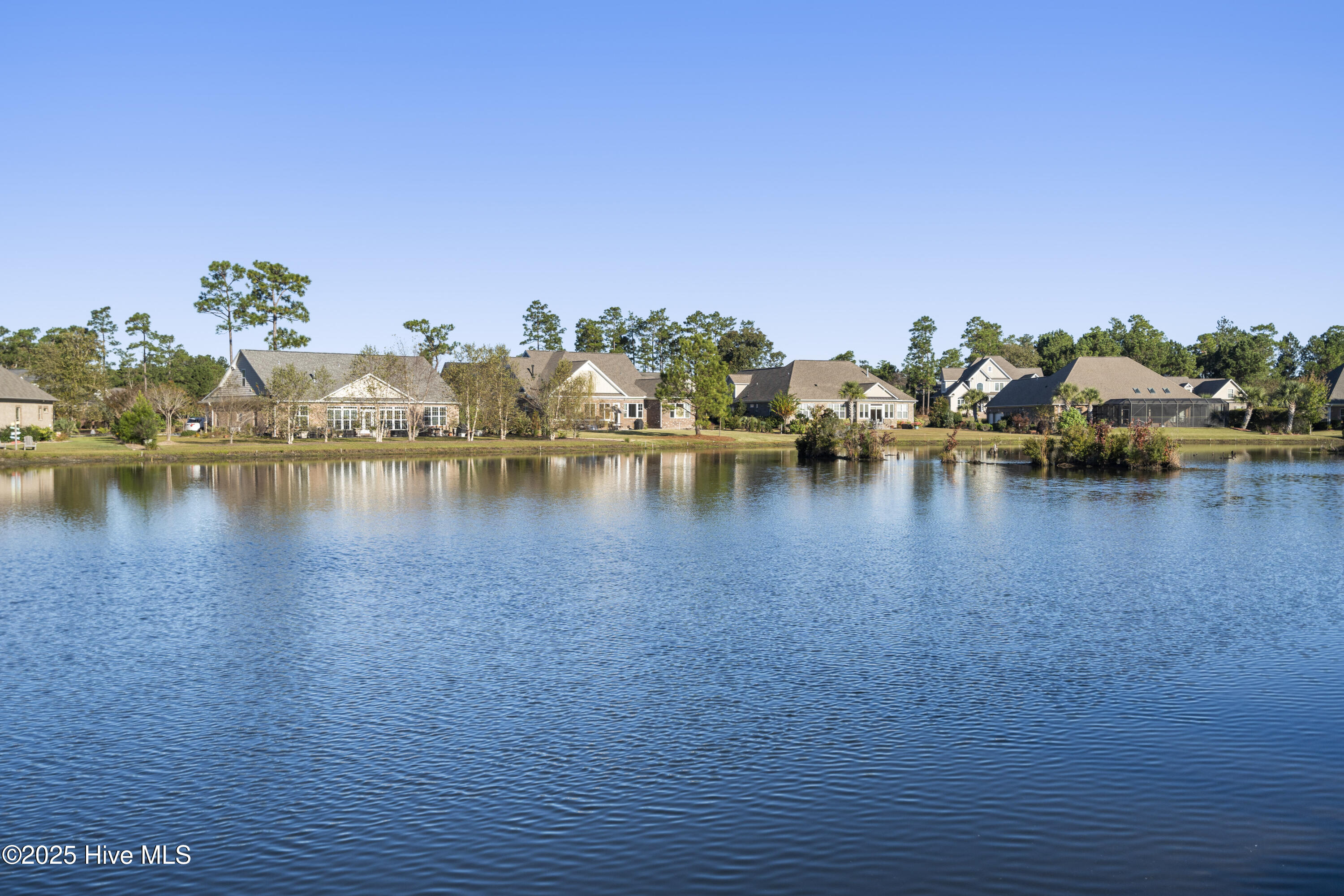 100493135 | Photo 58