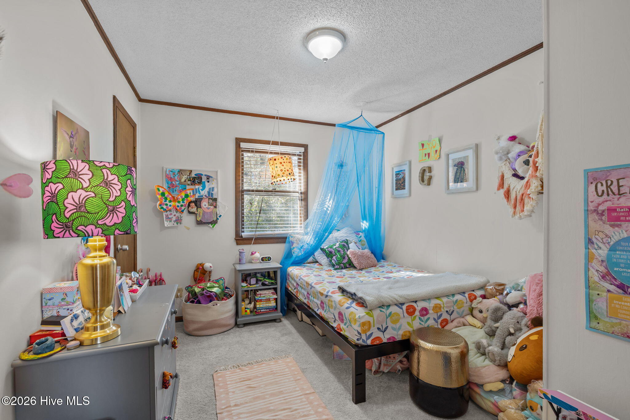 100556660 | Photo 15