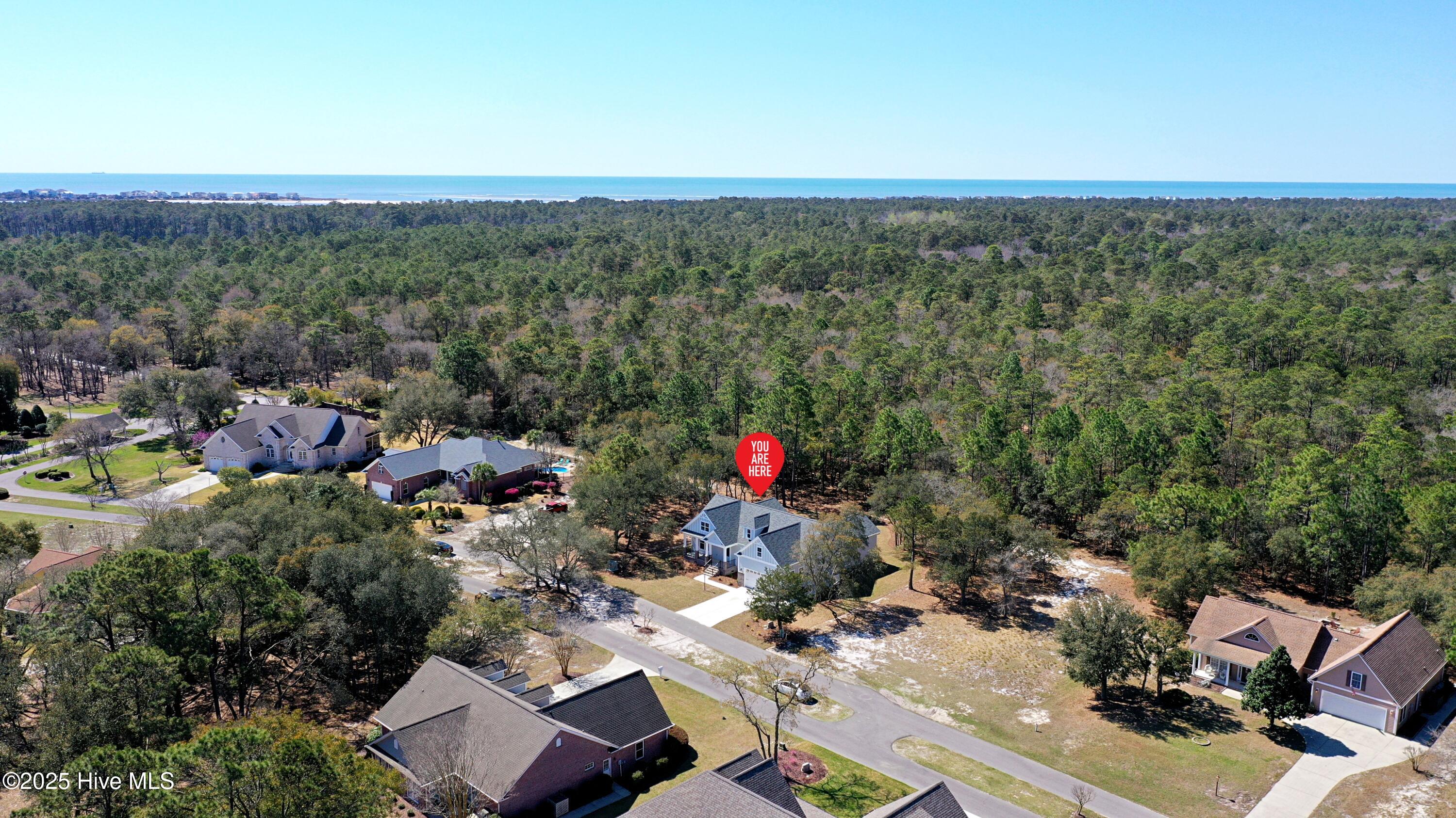 100535738 | Photo 47