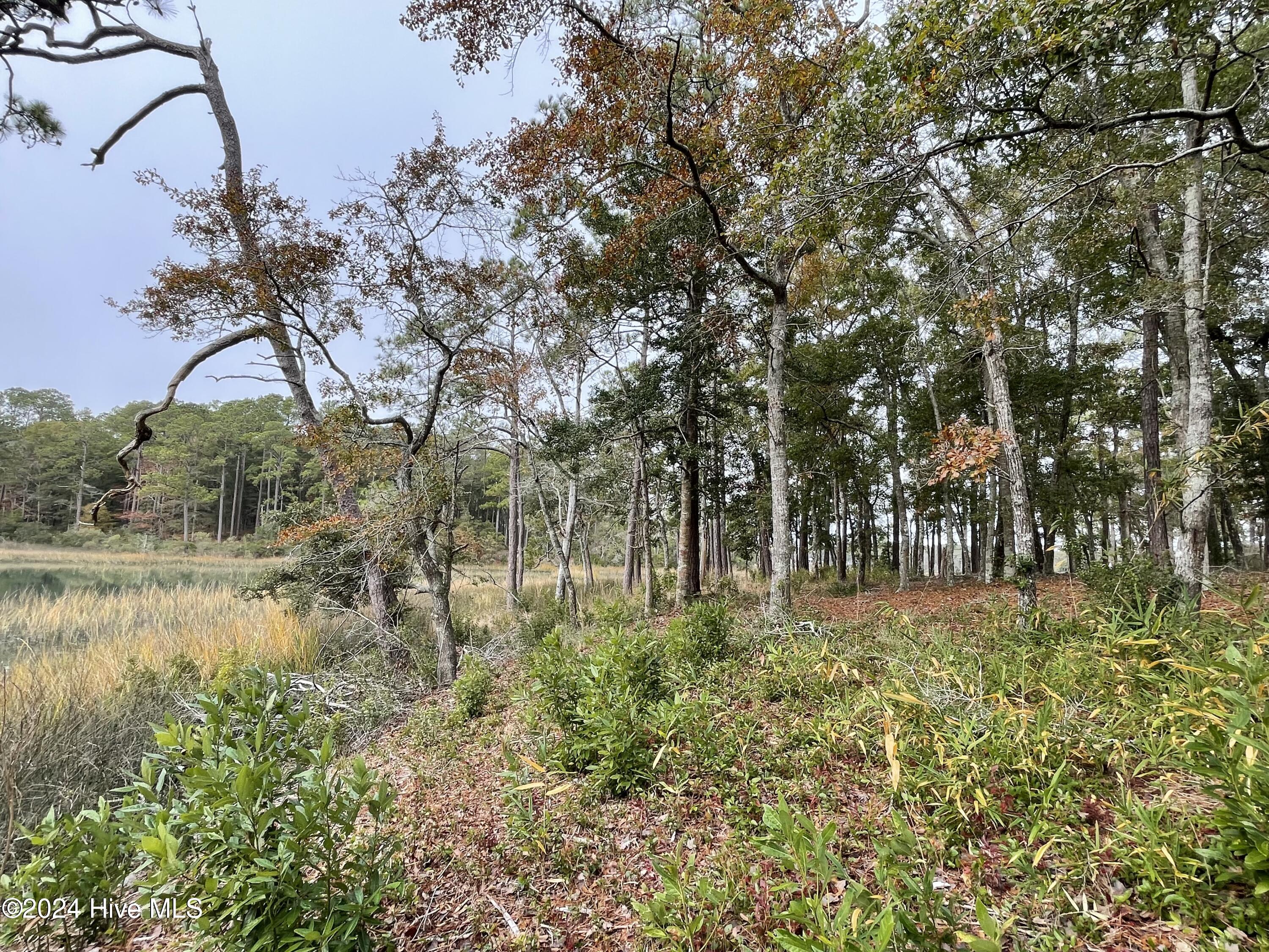 100481360 | Photo 21