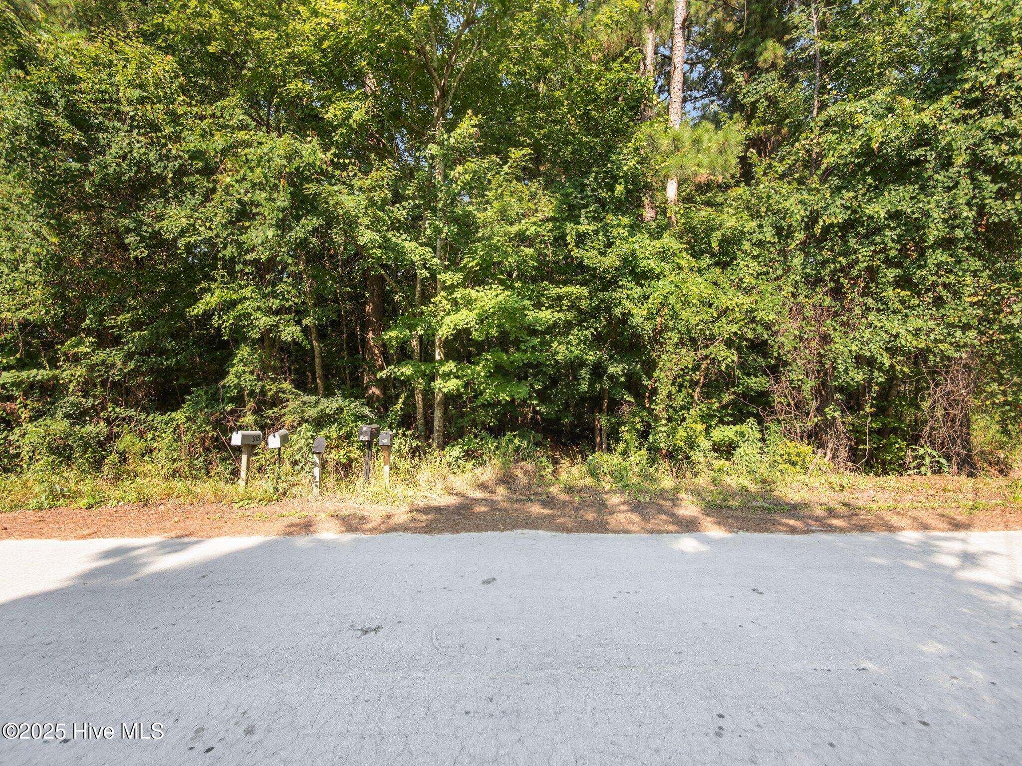 13-web-or-mls-P6245399