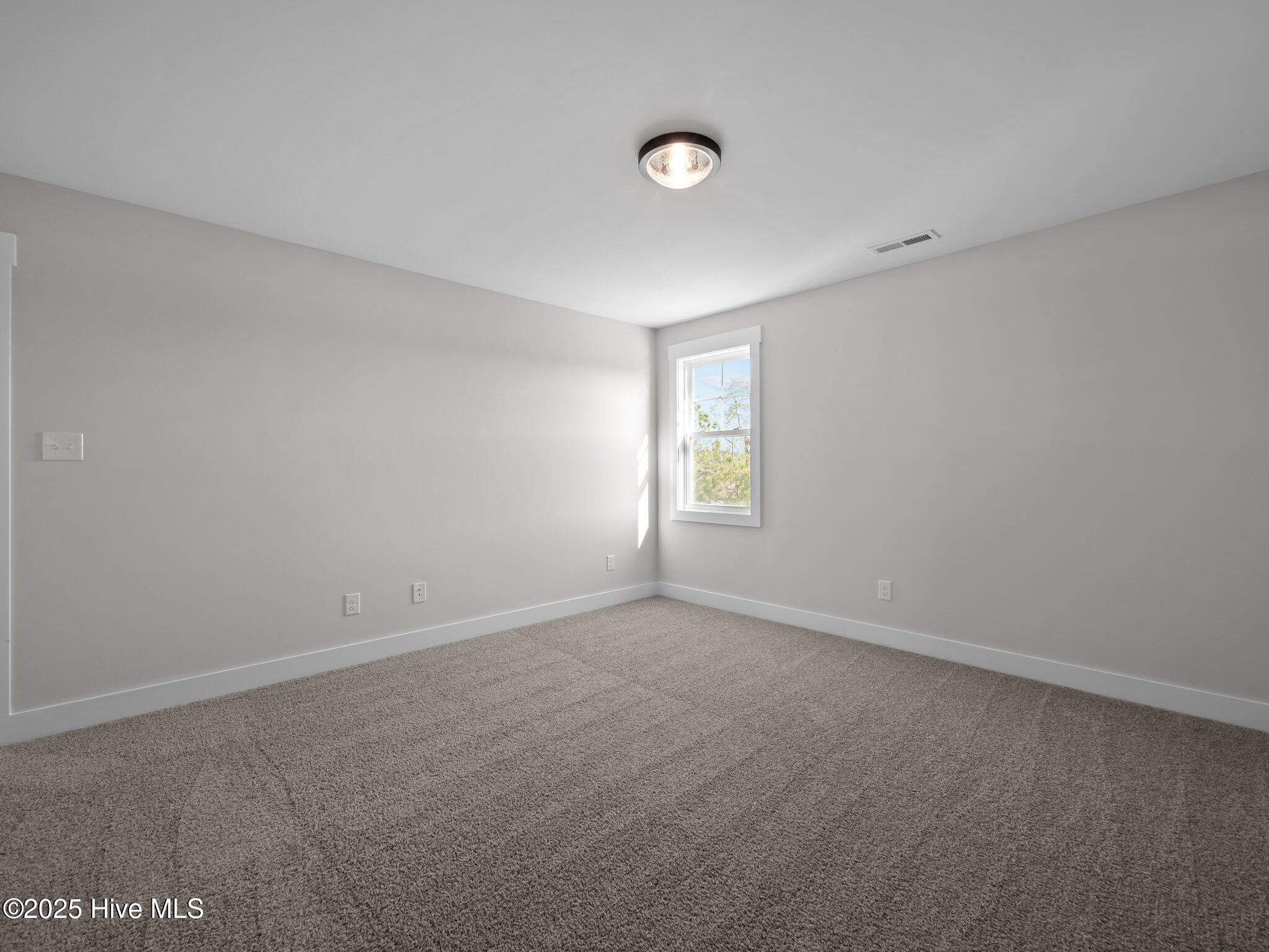 100487102 | Photo 39