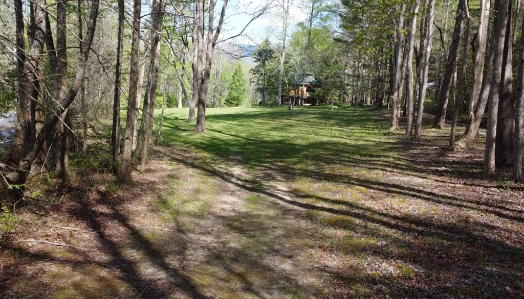 8158 Beaver Dam Road, Murphy, NC 28906 Listing Photo  17
