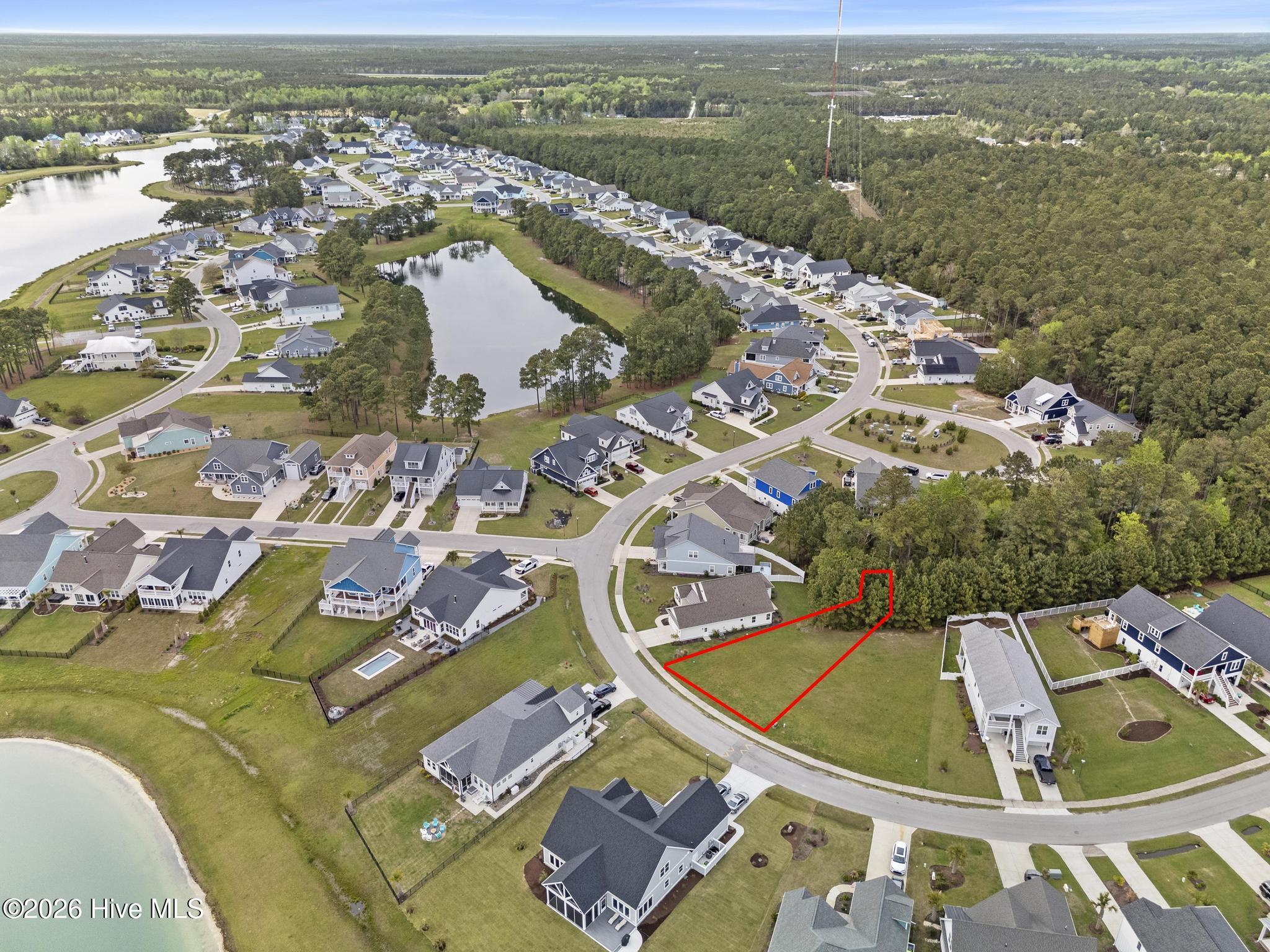 100564702 | Photo 19