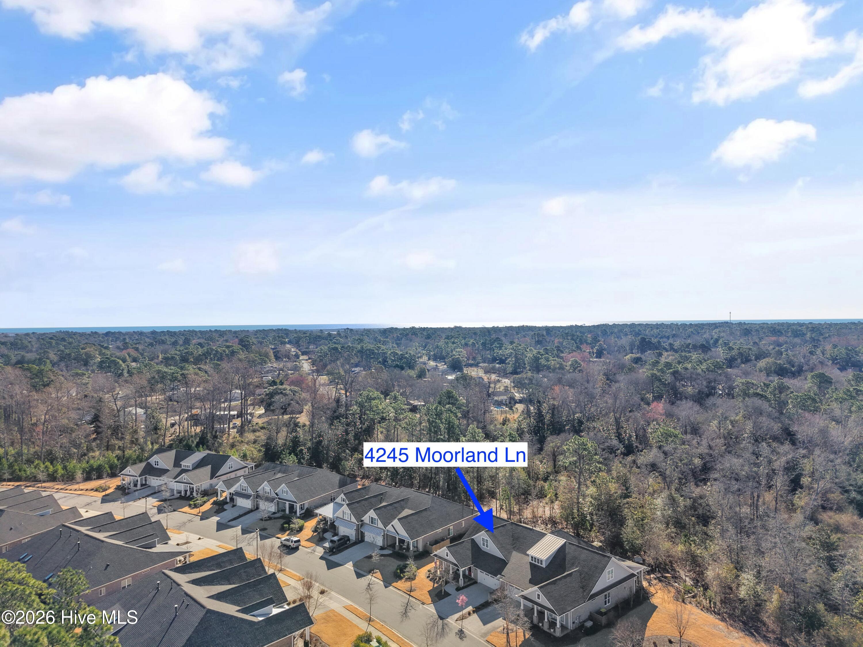 100558419 | Photo 50