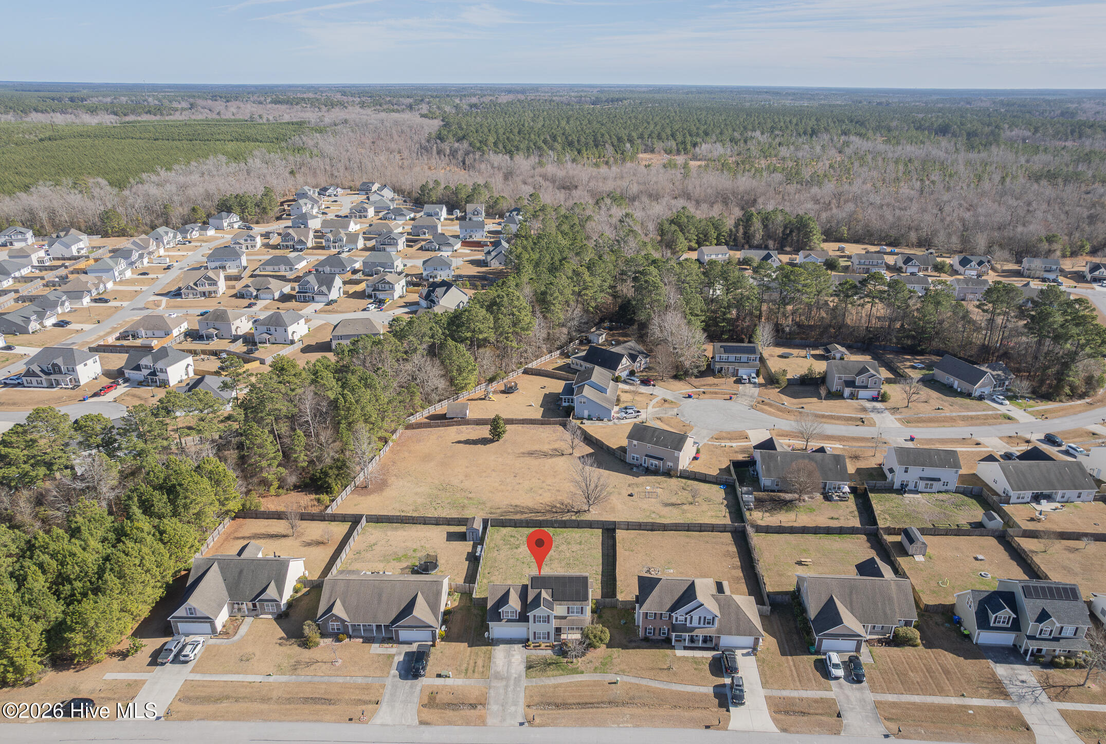 100554733 | Photo 52