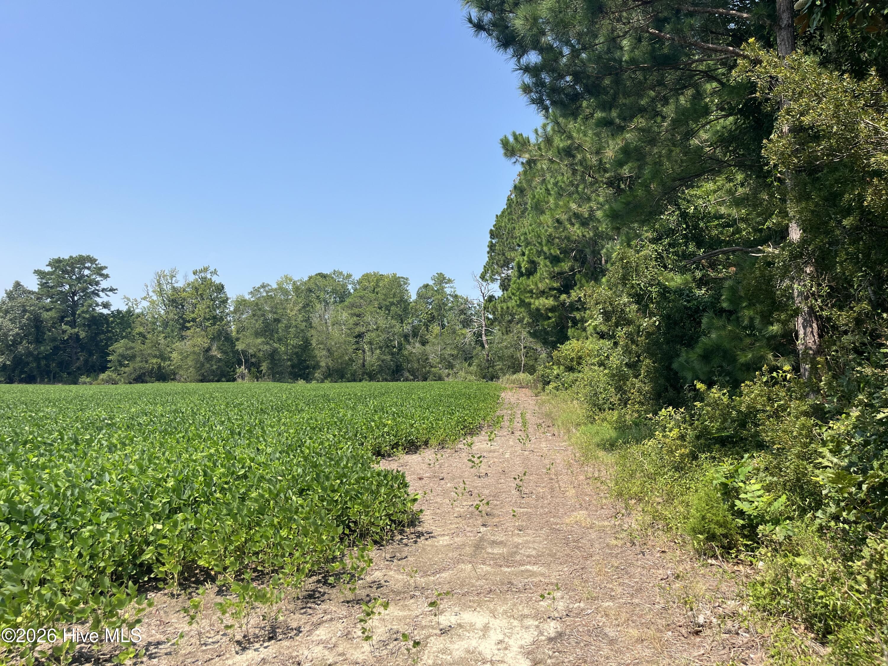 94 Whortonsville Road,Merritt